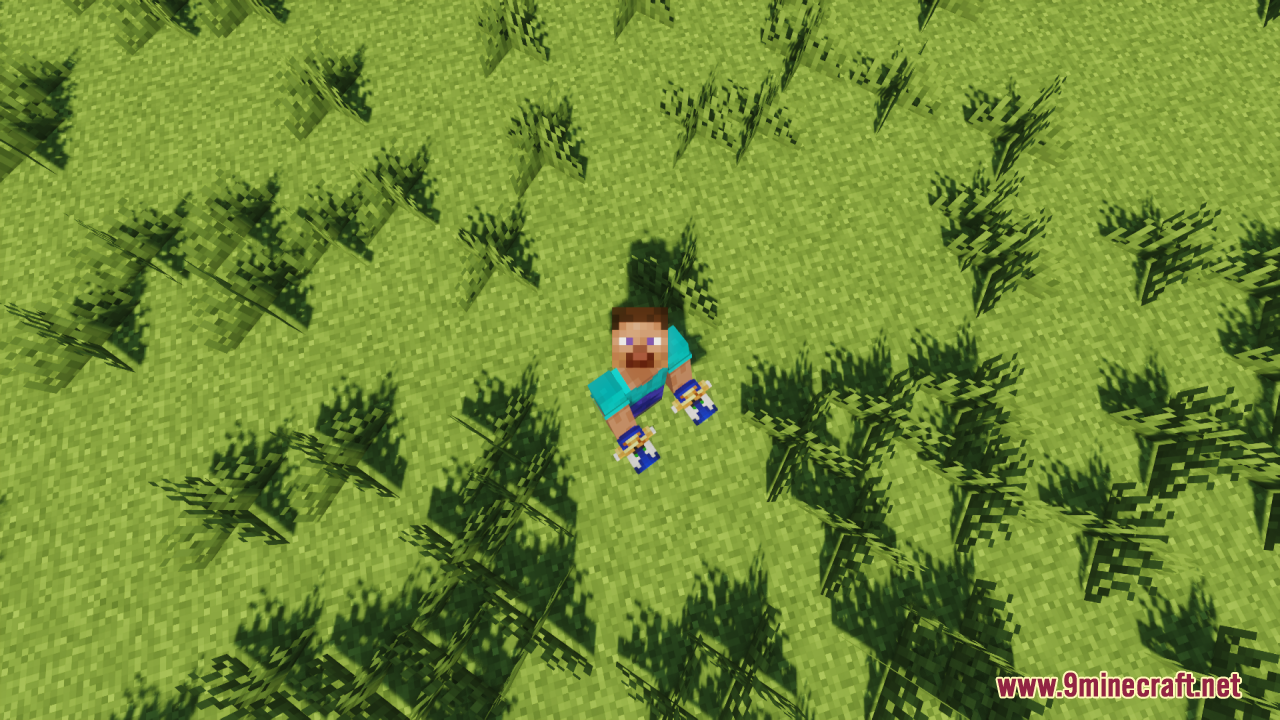 Player character standing on grass holding a Sonic totem in each hand