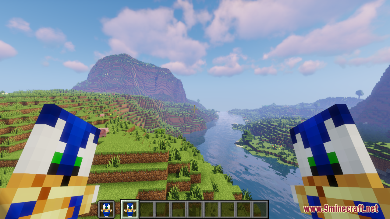 Player holding two custom Sonic totems in both hands overlooking a river