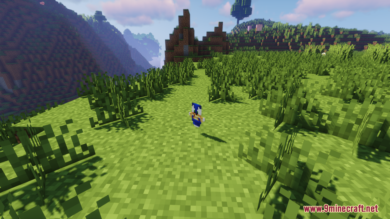 Custom Sonic the Hedgehog totem item floating above the grassy ground