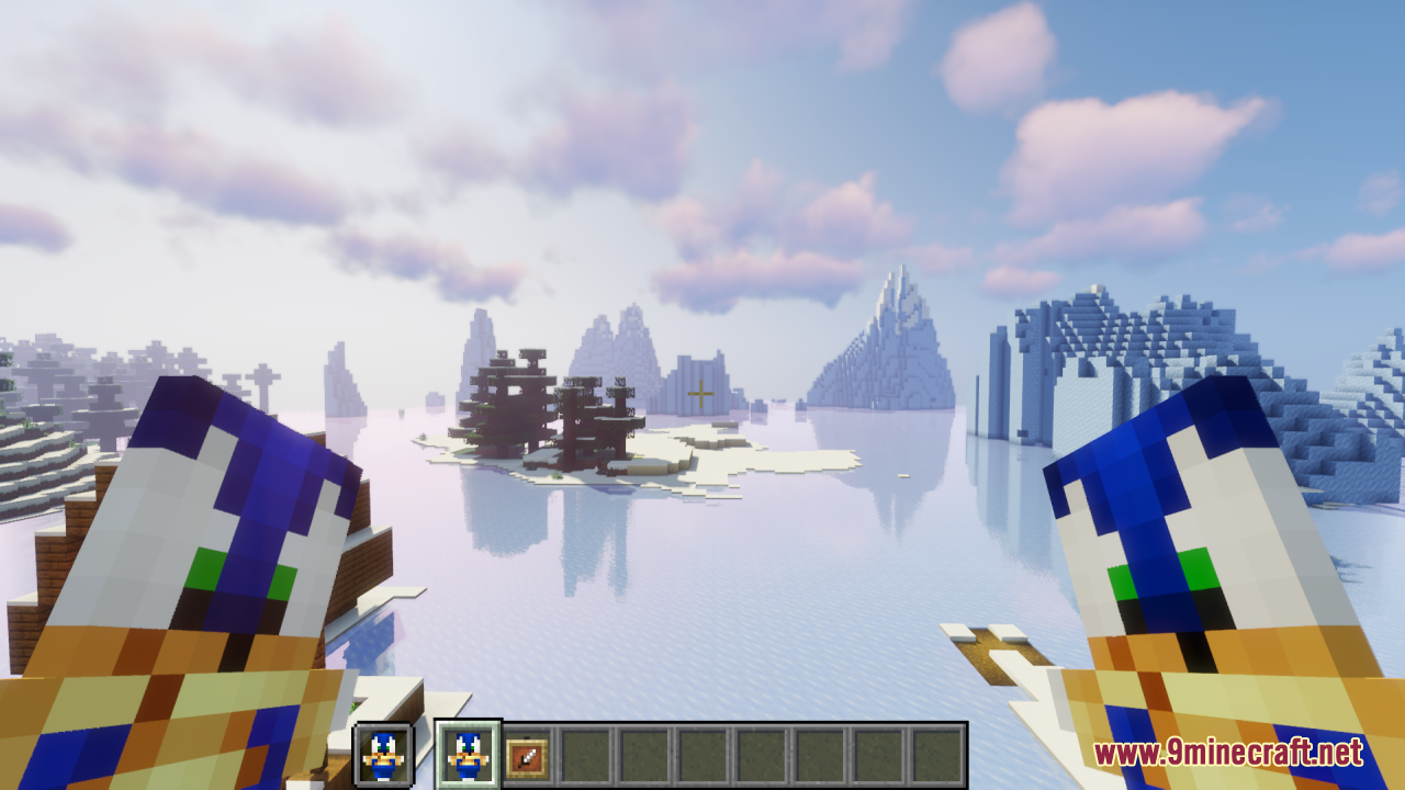Player holding two Sonic totems in first person view in an ice biome