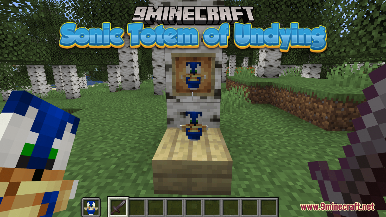 Sonic Totem of Undying Resource Pack