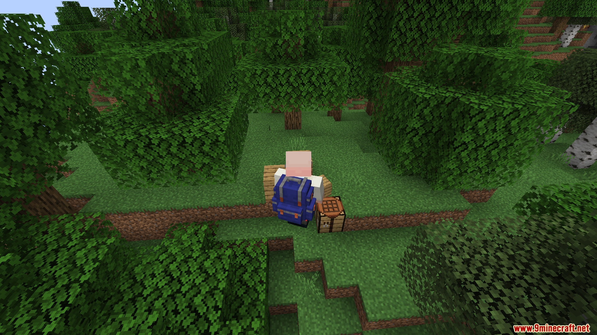 Character wearing a blue backpack in a forest