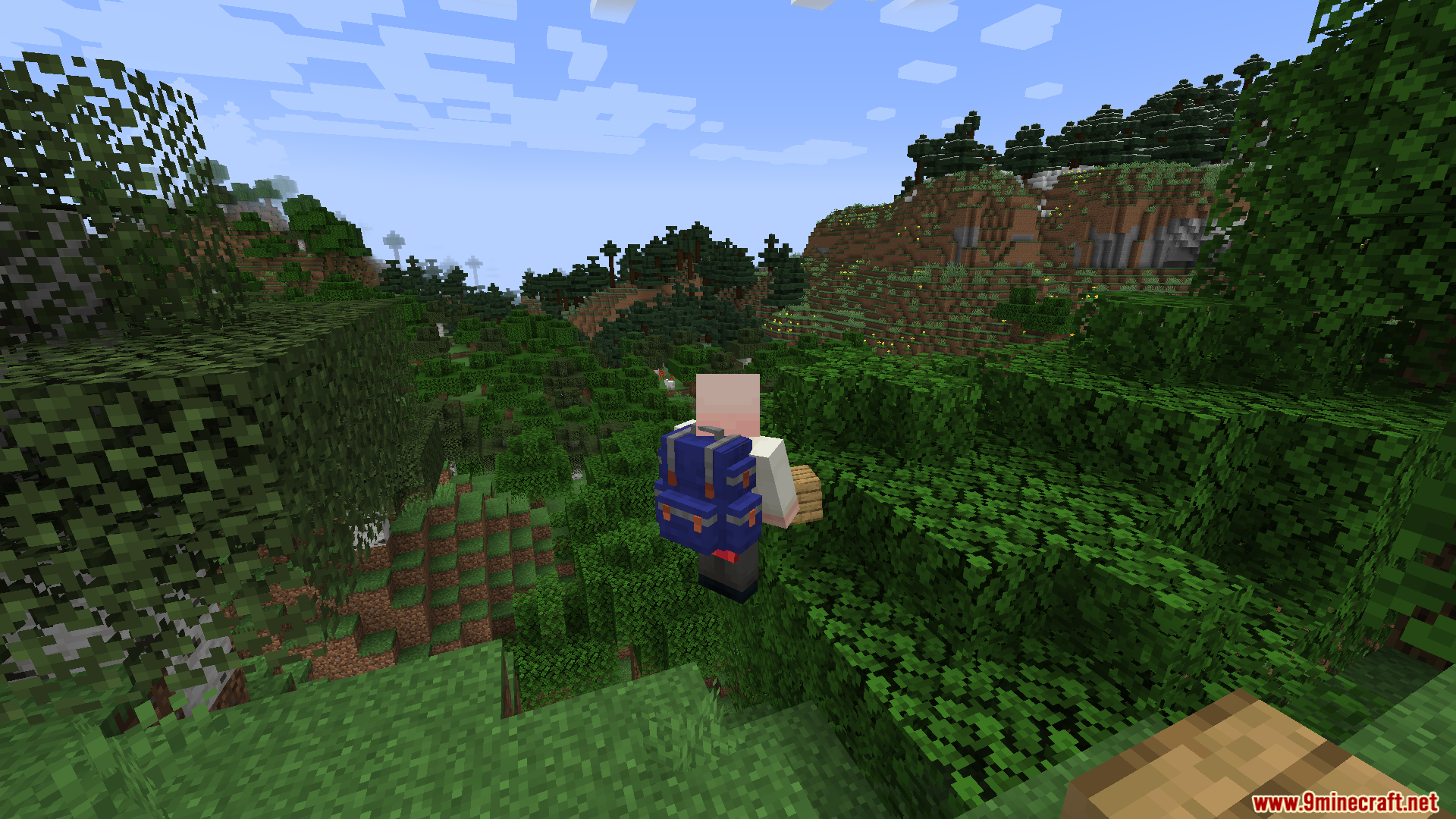 Player with a backpack overlooking a forested valley