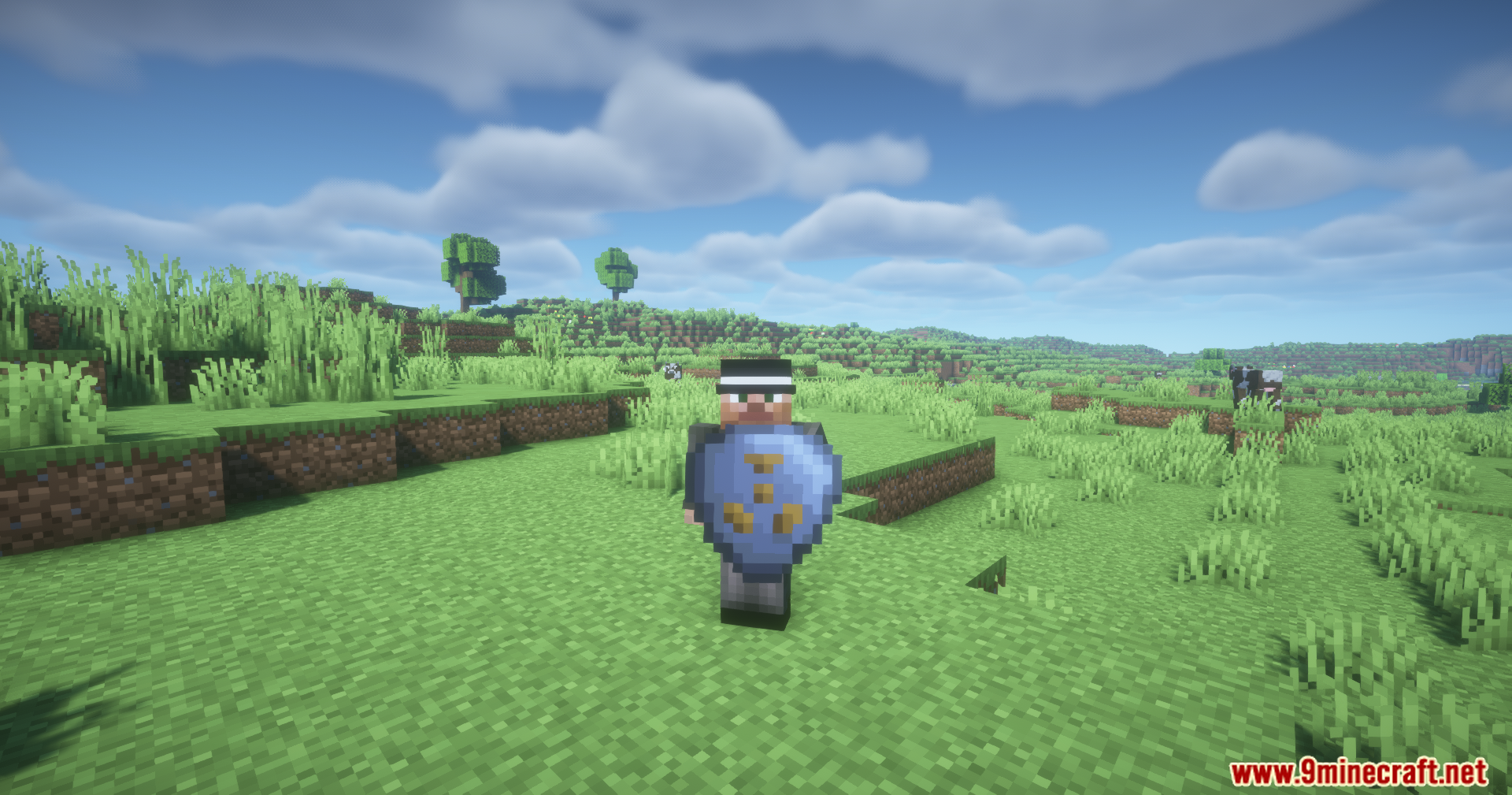 Player holding a blue elemental shield in a grassy biome