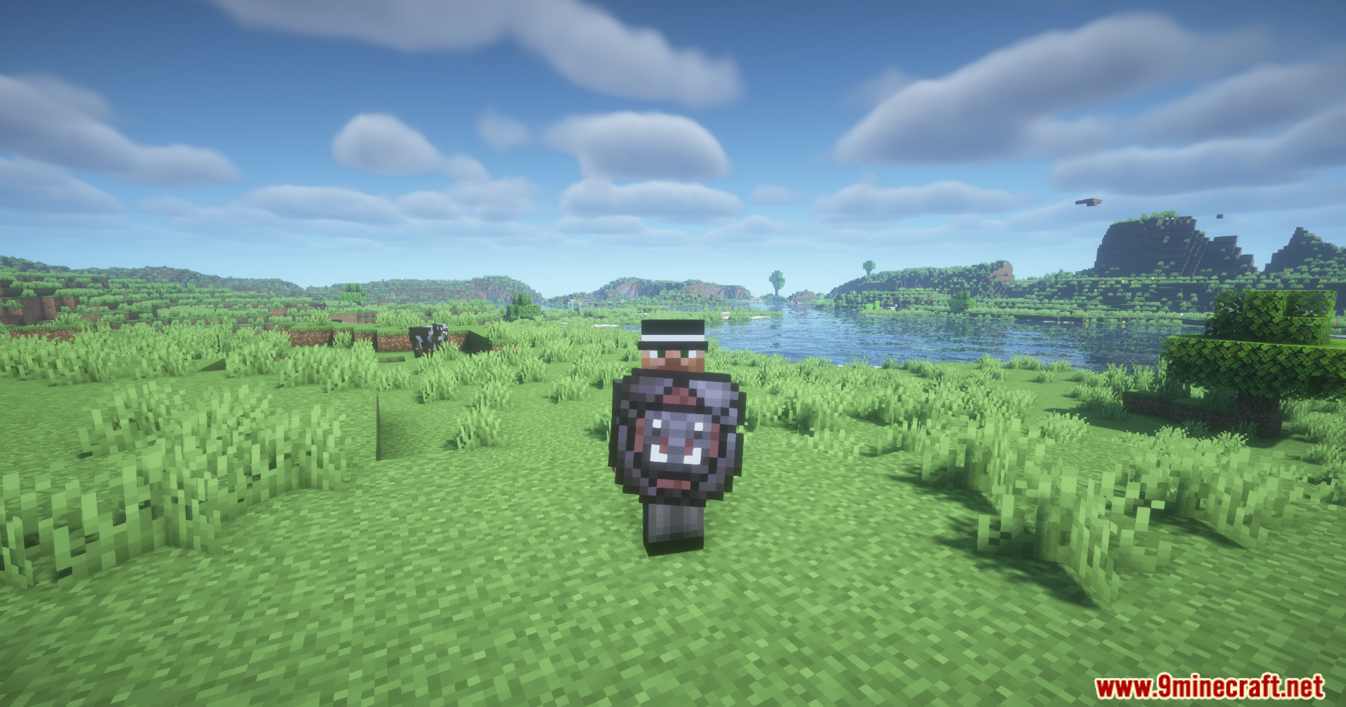 Player holding a dark heavy shield in a grassy field