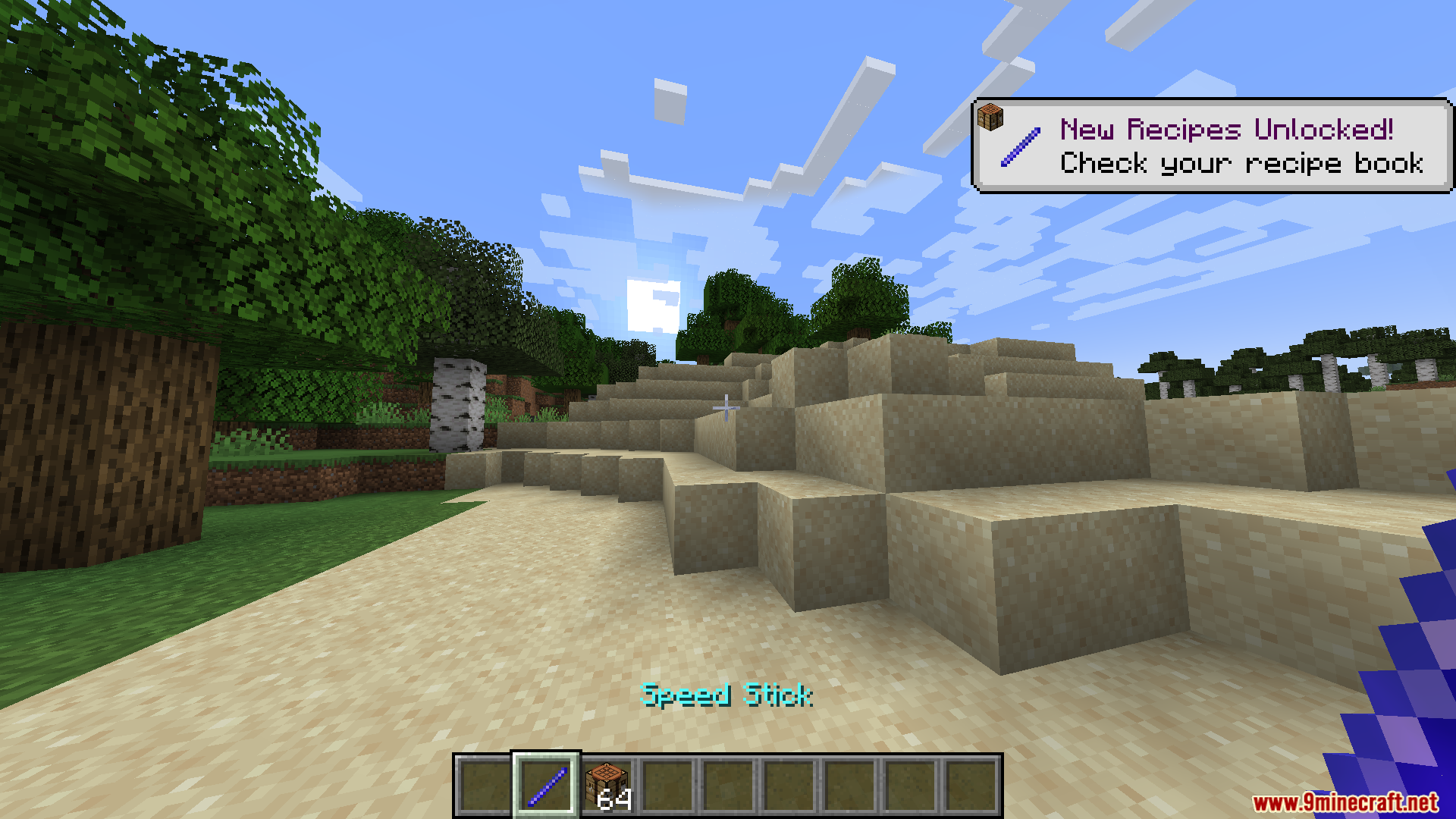 Player holding the newly crafted Speed Stick in first person