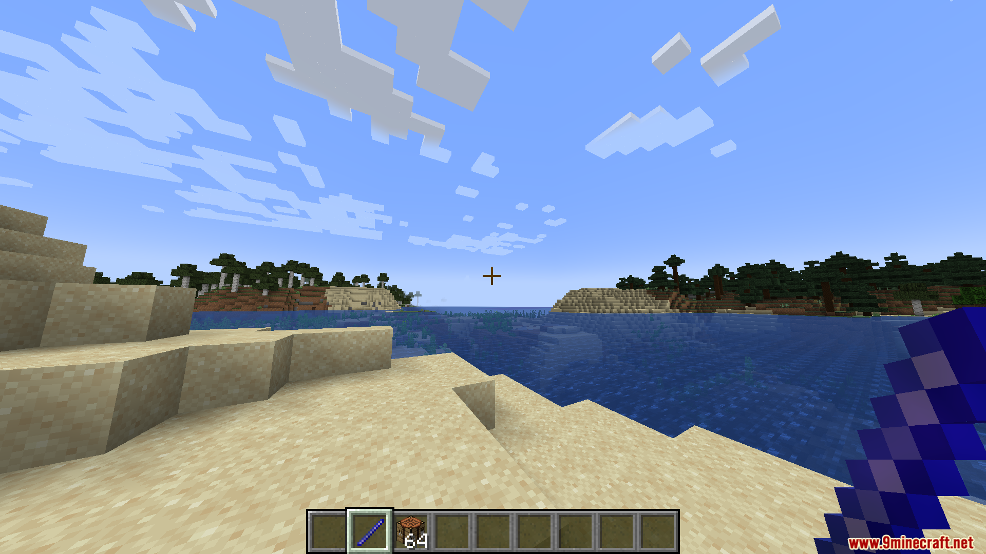 Player holding a blue stick on a sandy beach