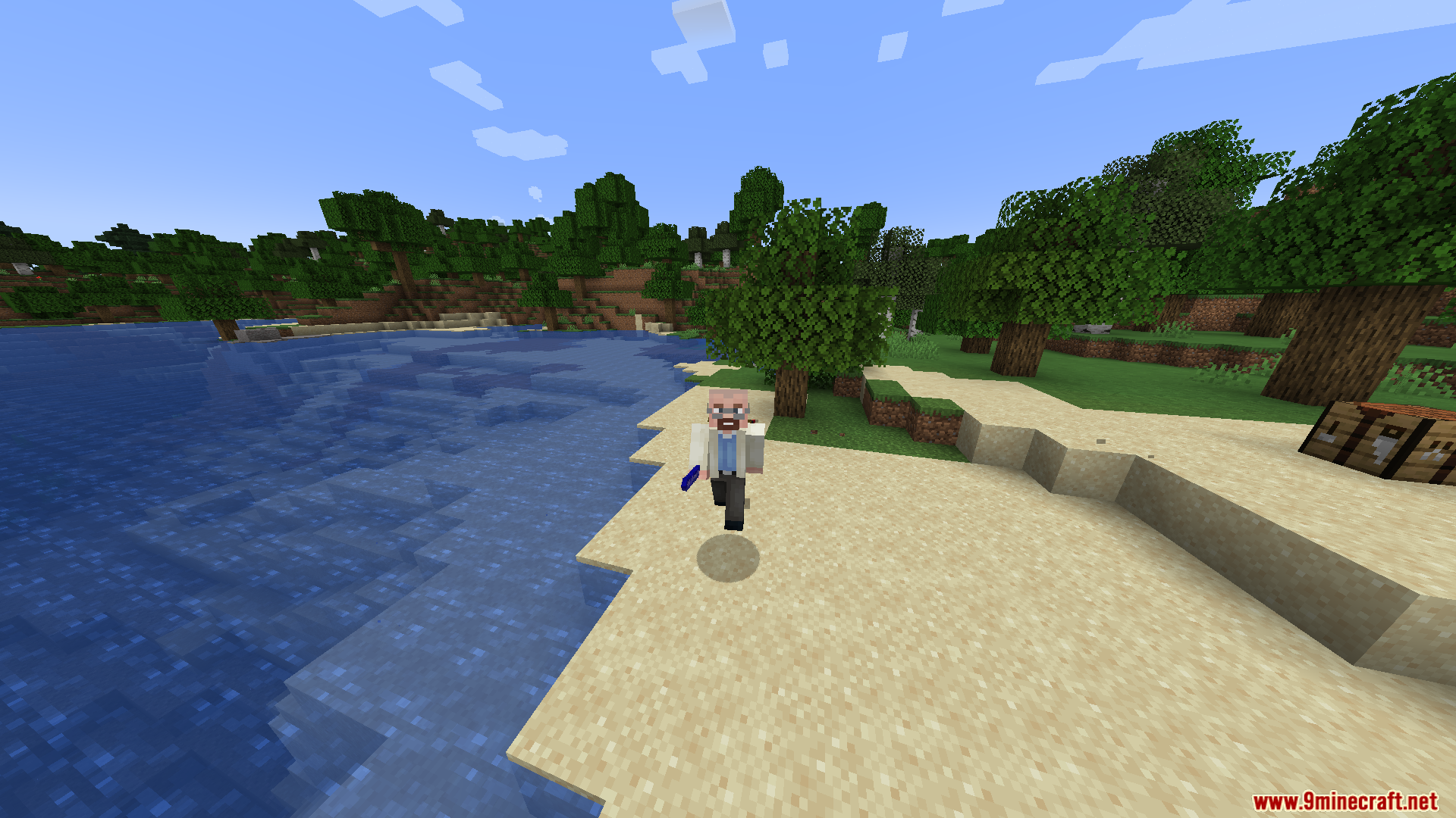 Player holding the Speed Stick Mod item on a beach