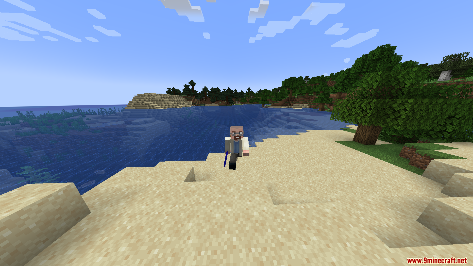 A character exploring a vast coastline with a blue stick