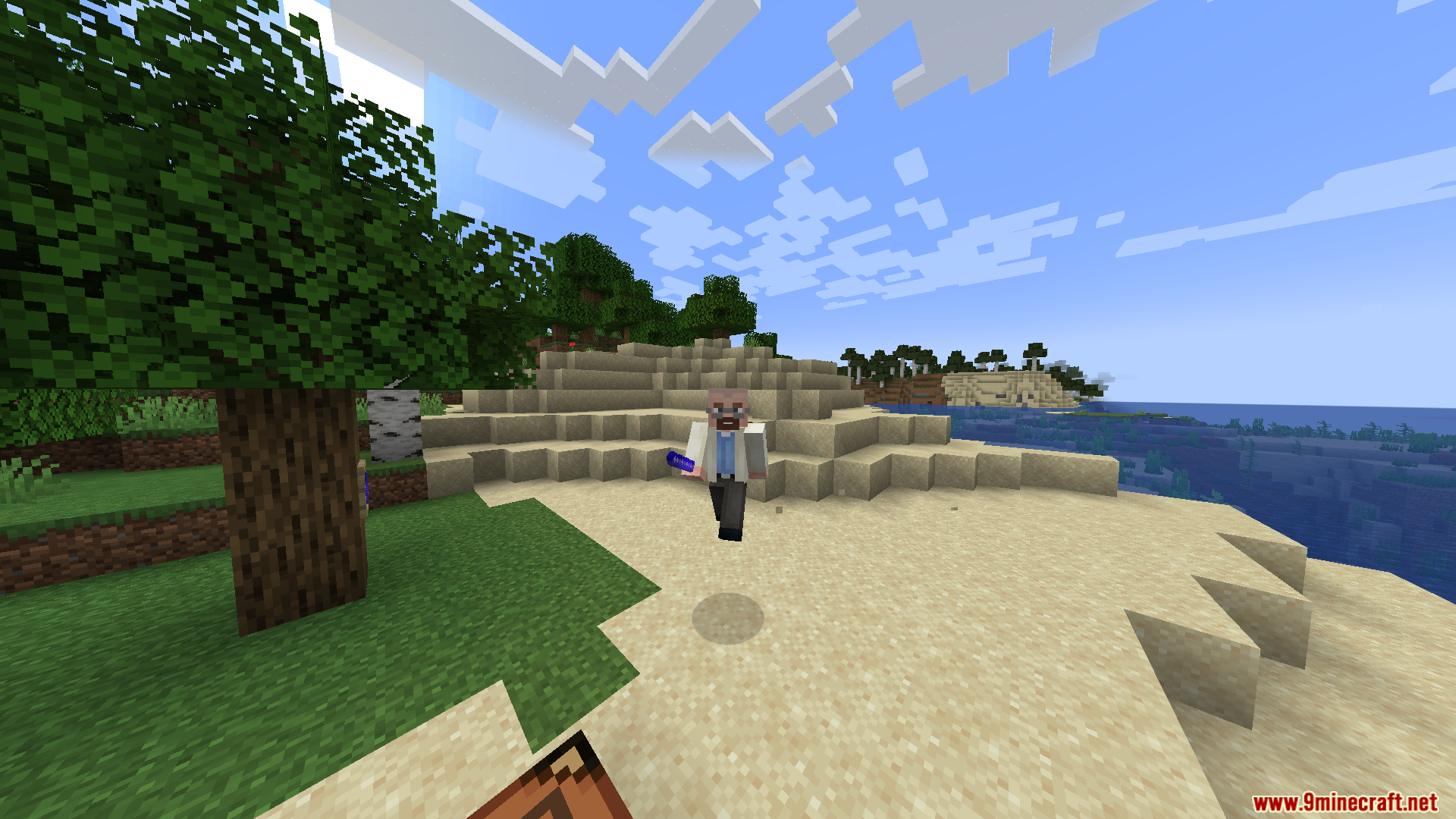 Player standing on a sandy hill holding the special item