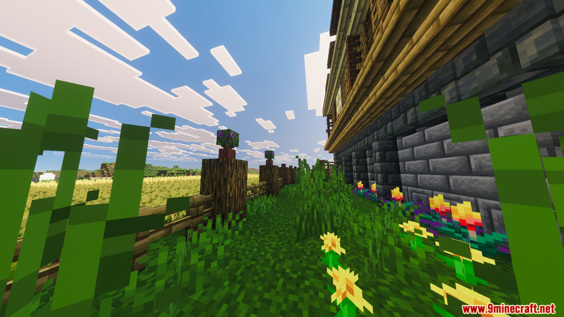 Large two story wooden house with a stone foundation and a wheat farm