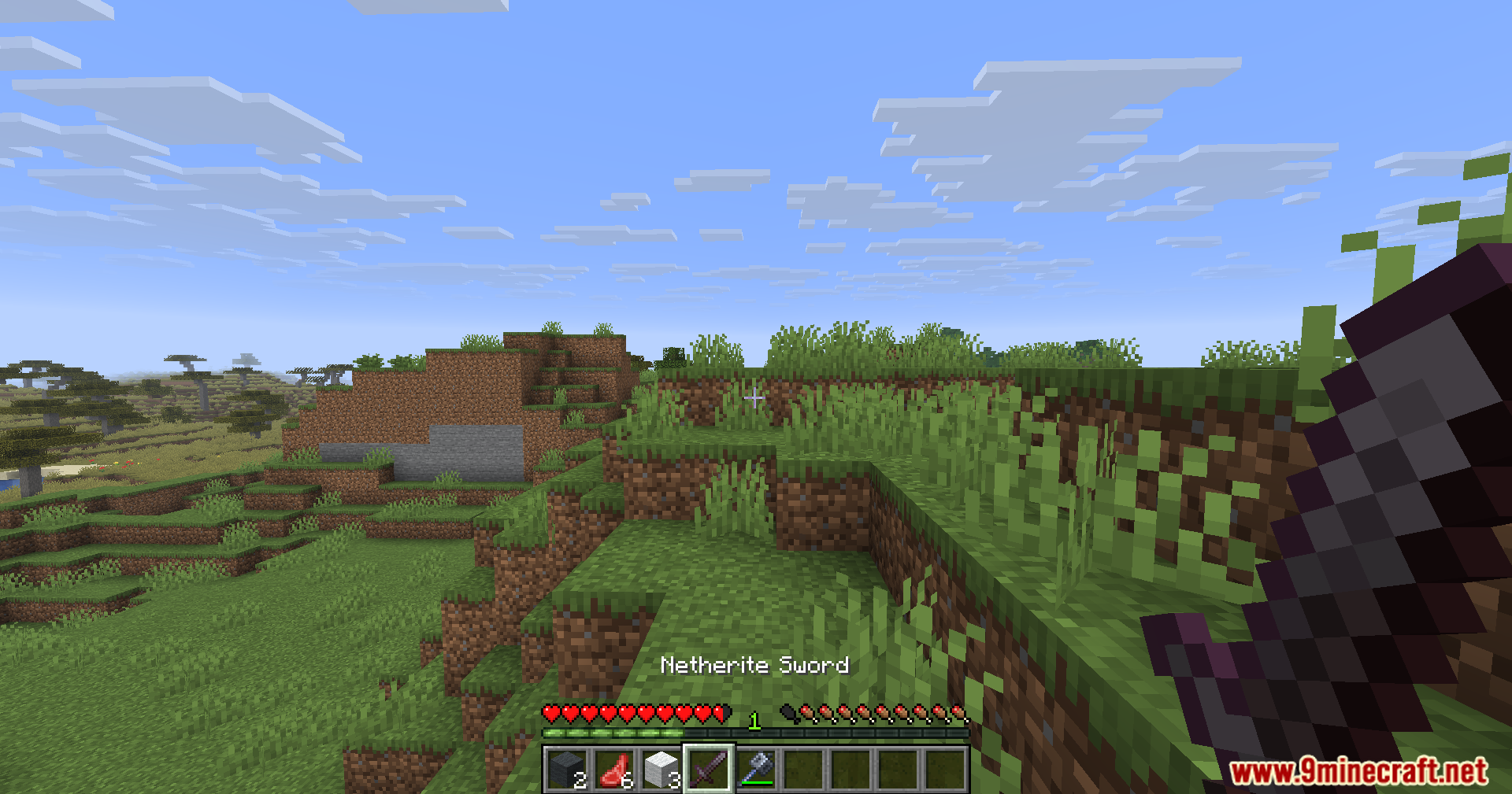 Player holding a Netherite Sword looking at a grassy hill landscape