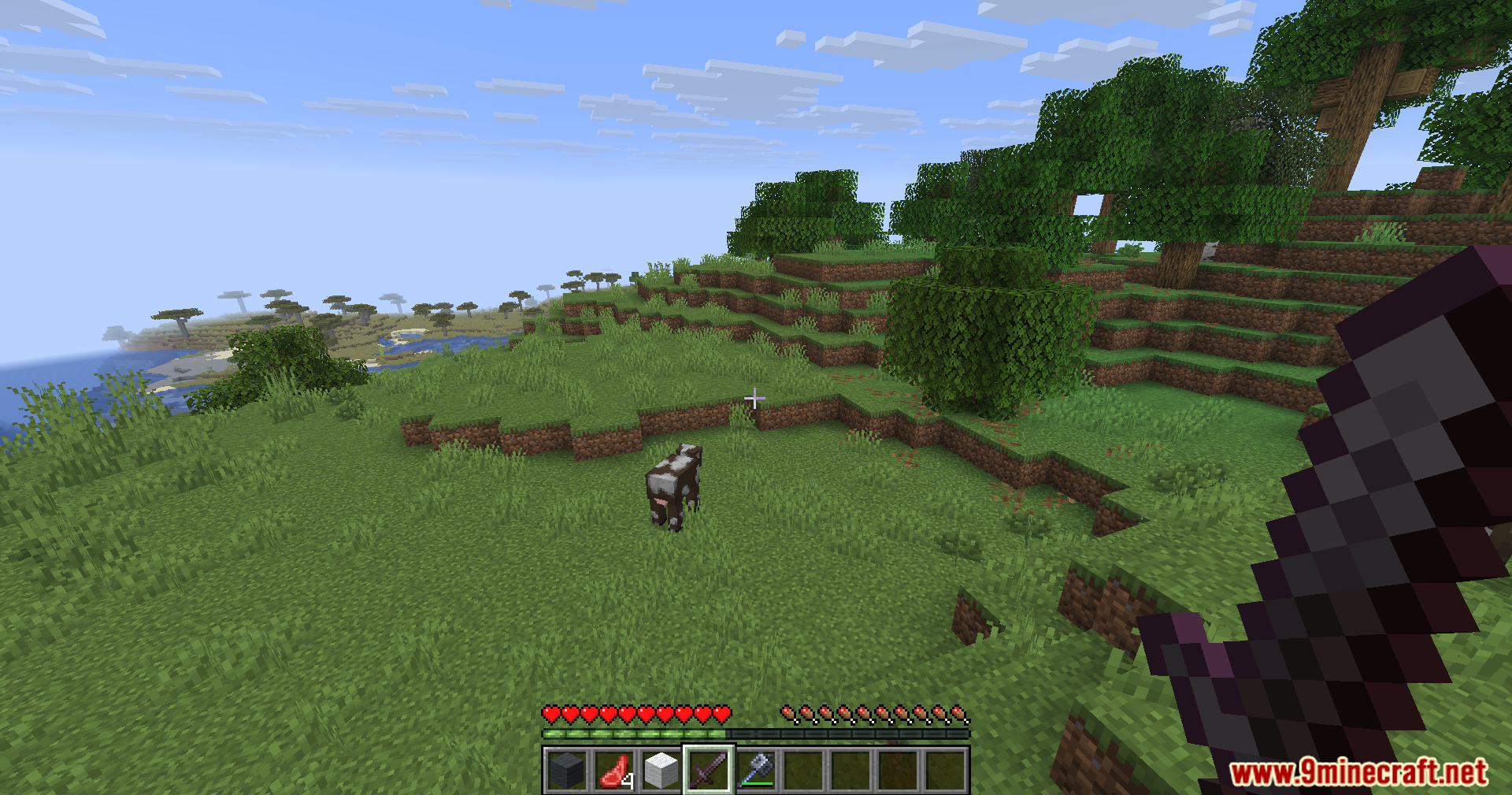Player preparing to attack a cow with a sword and mace in hotbar