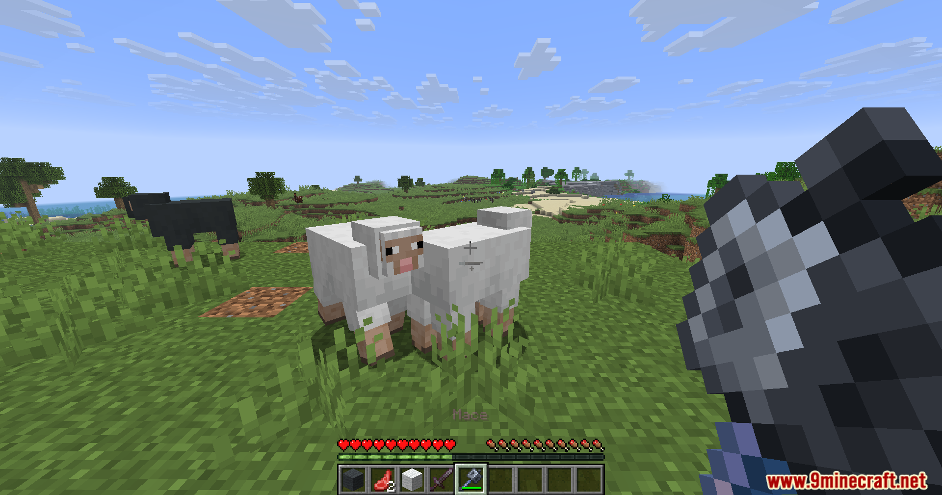 Player aiming a mace at a white sheep in a grassy plains biome