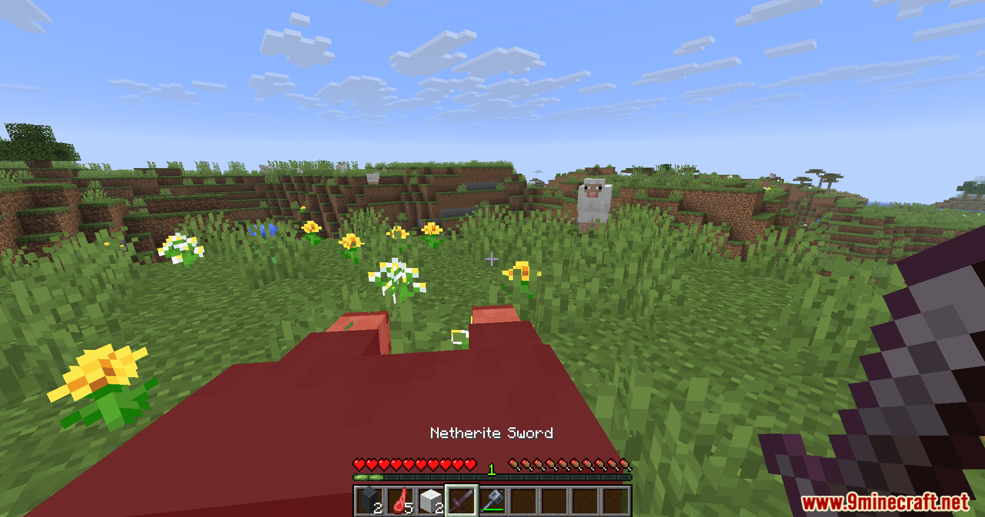 Player holding a Netherite Sword in a grassy field with a sheep