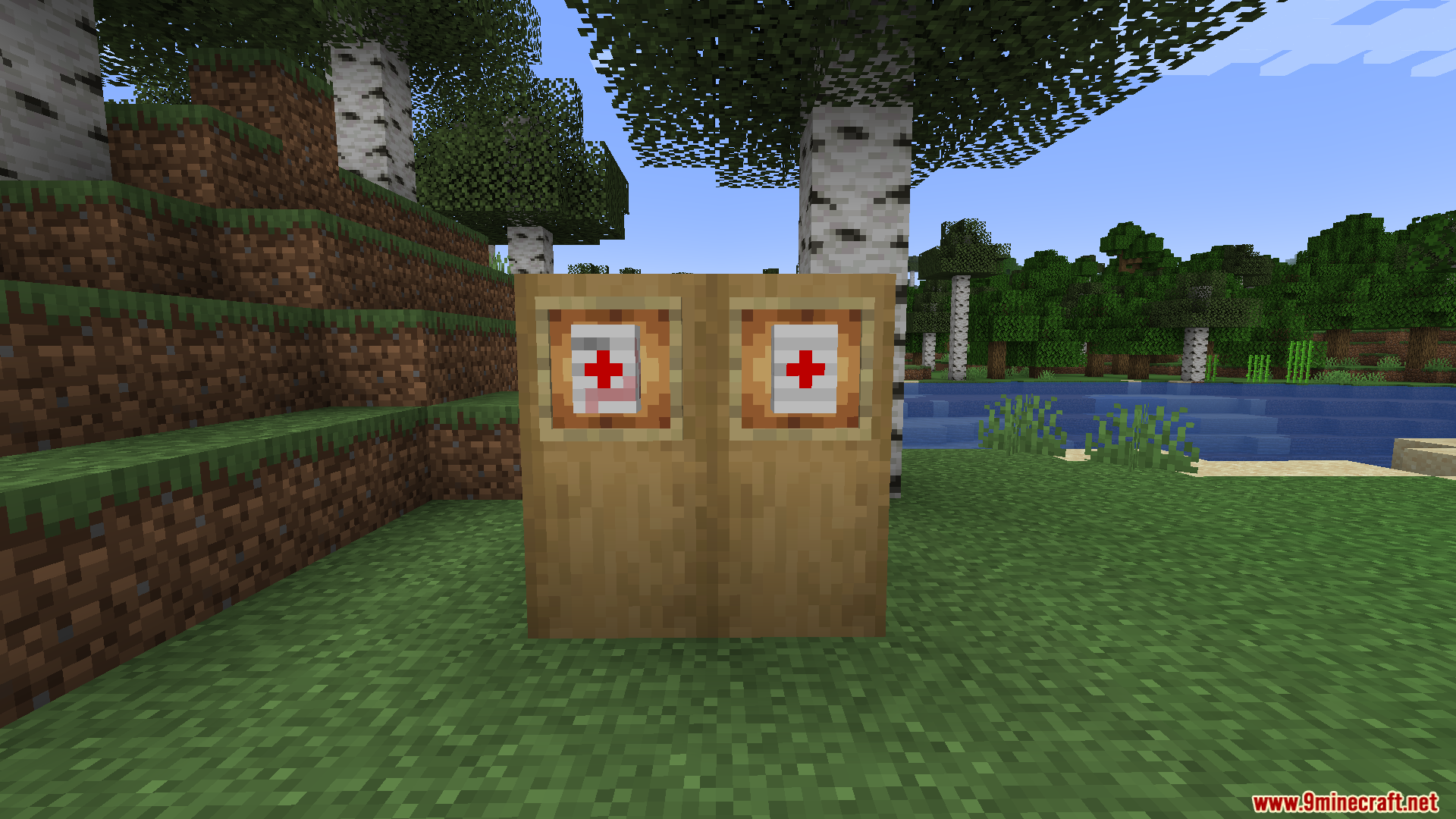 TaCZ Bleeding Mod Screenshot 6 Medical bandage items displayed inside item frames on wooden blocks outdoors