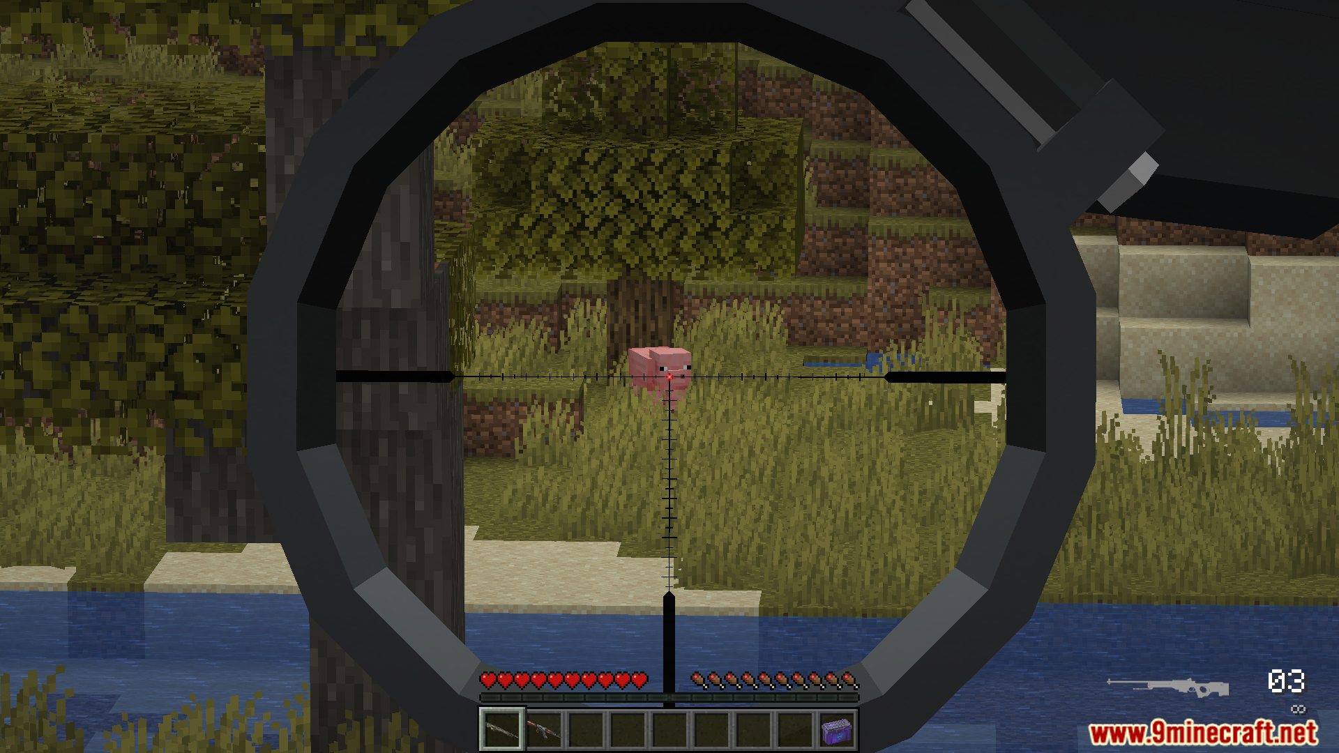 Aiming at a pig through a sniper scope