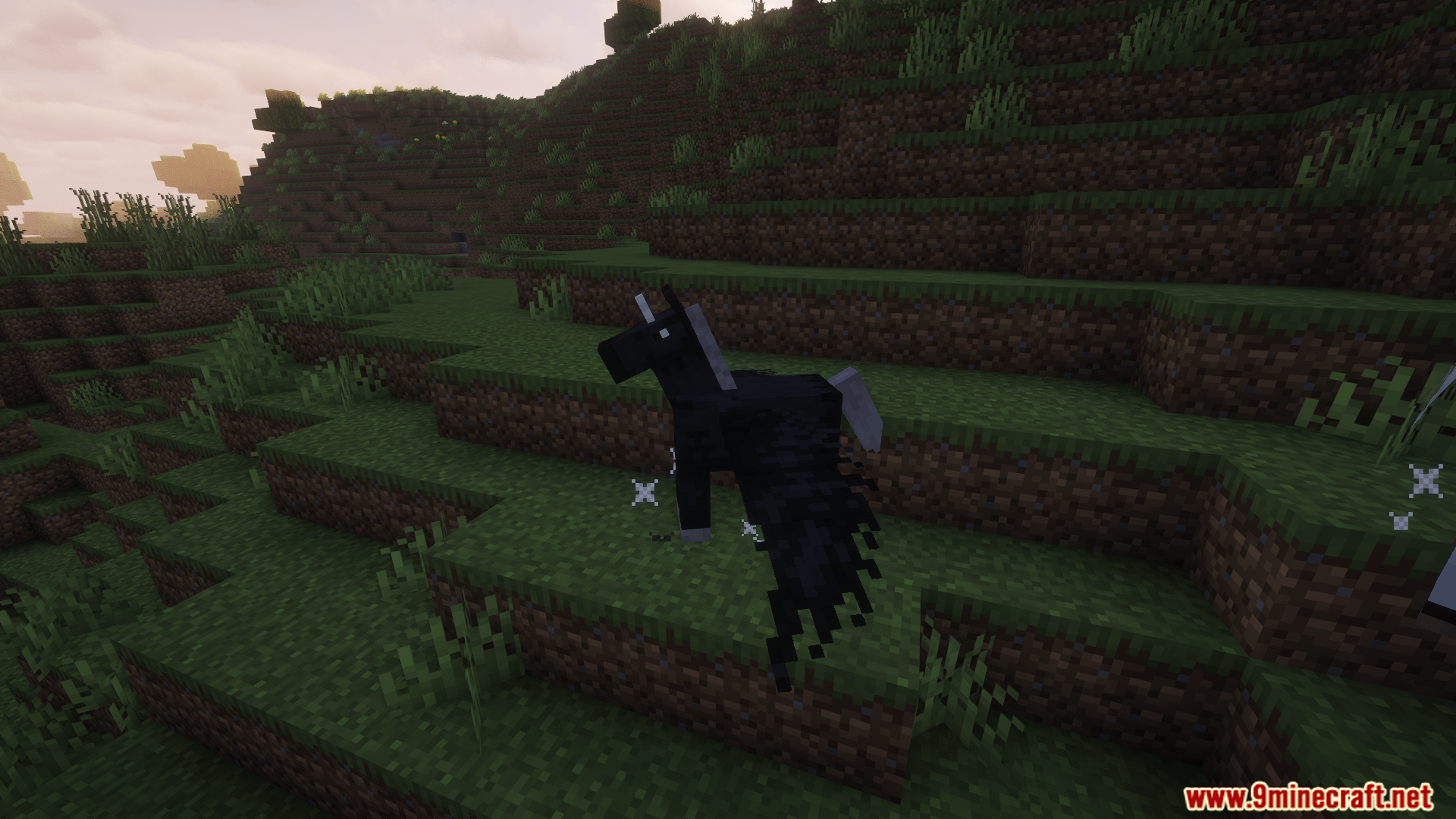 A unique black horse with a white mane and tail
