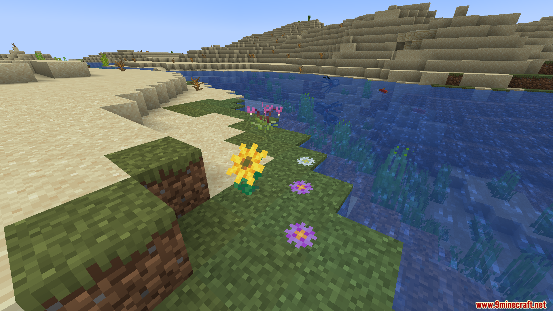 Various colorful flowers growing on grass blocks near water