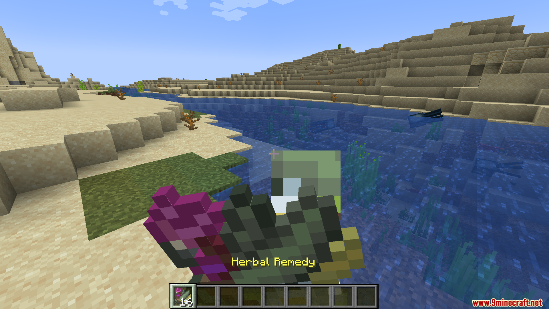 Player holding a herbal remedy item next to a river in the desert