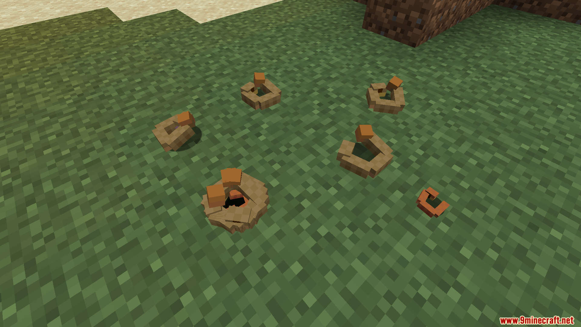 Several coiled brown rubber boas resting on green grass blocks in the world