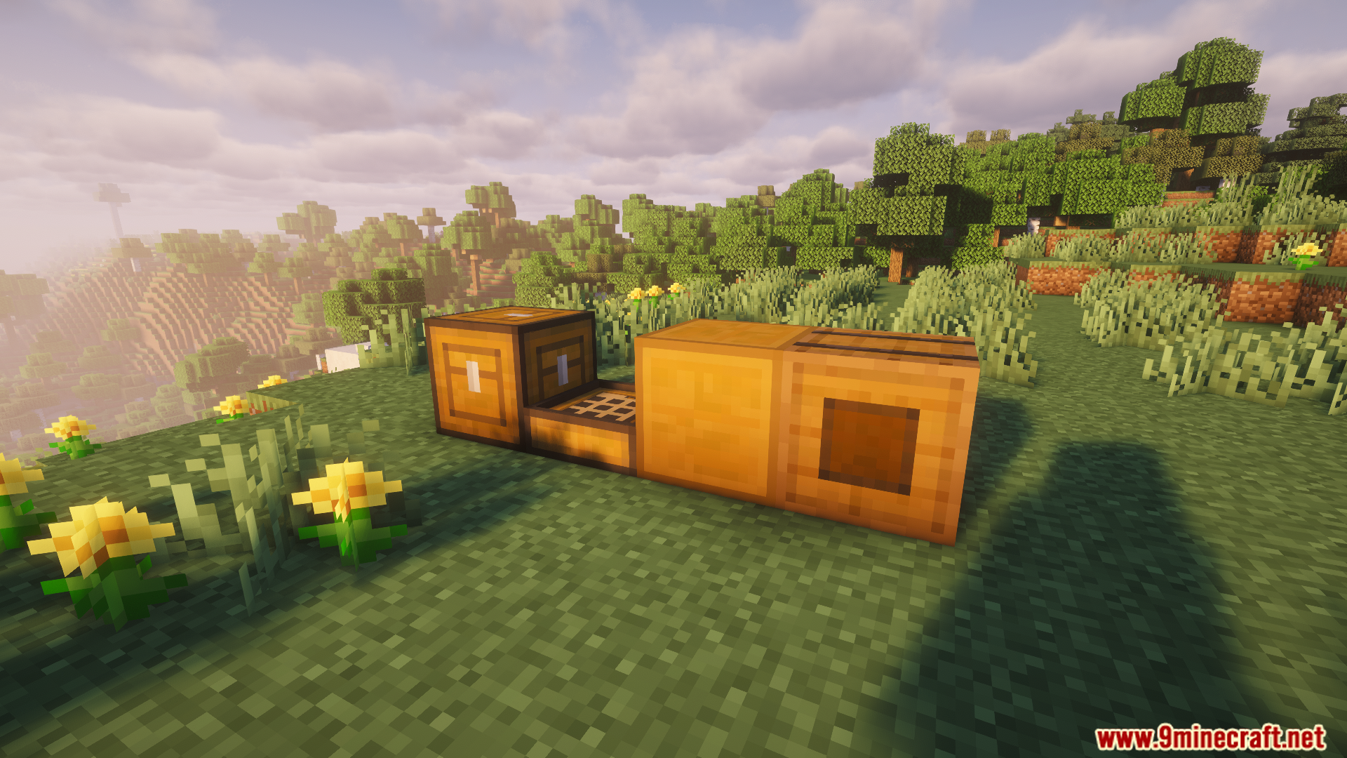 Toms Storage blocks placed on a grassy hill