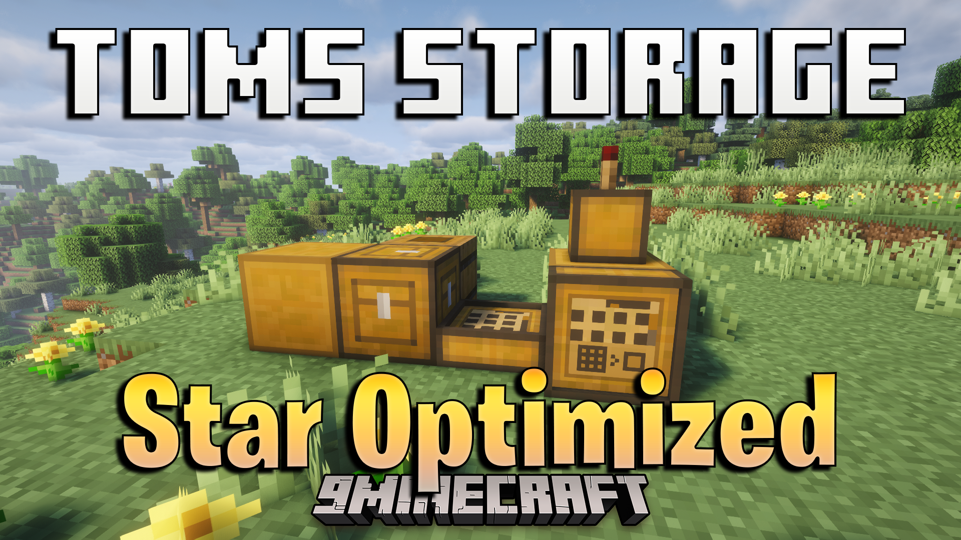 Toms Storage Star Optimized Mod