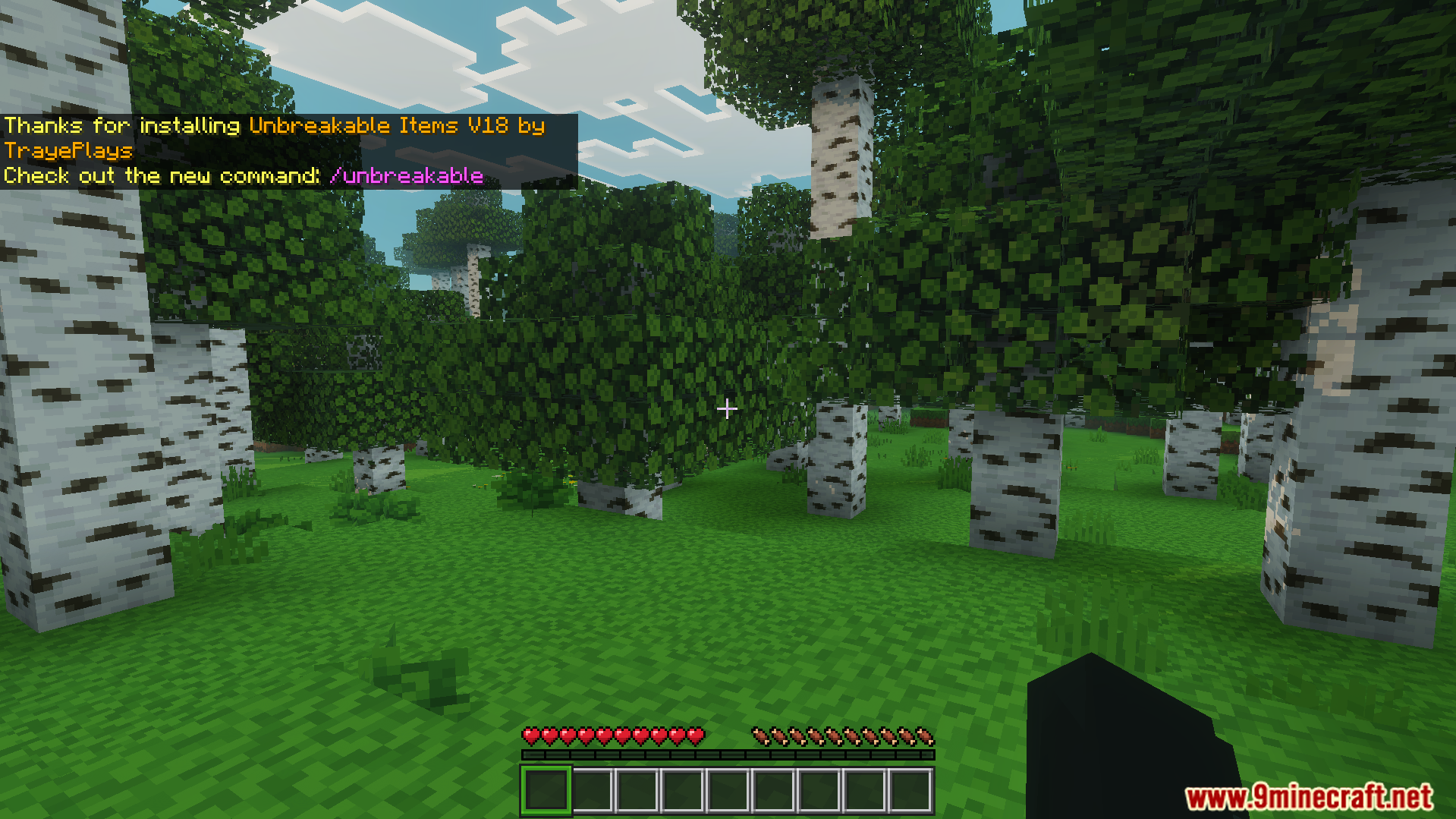 TrayePlays Unbreakable Items Addon Screenshot 2 In game chat message confirming the installation of the addon