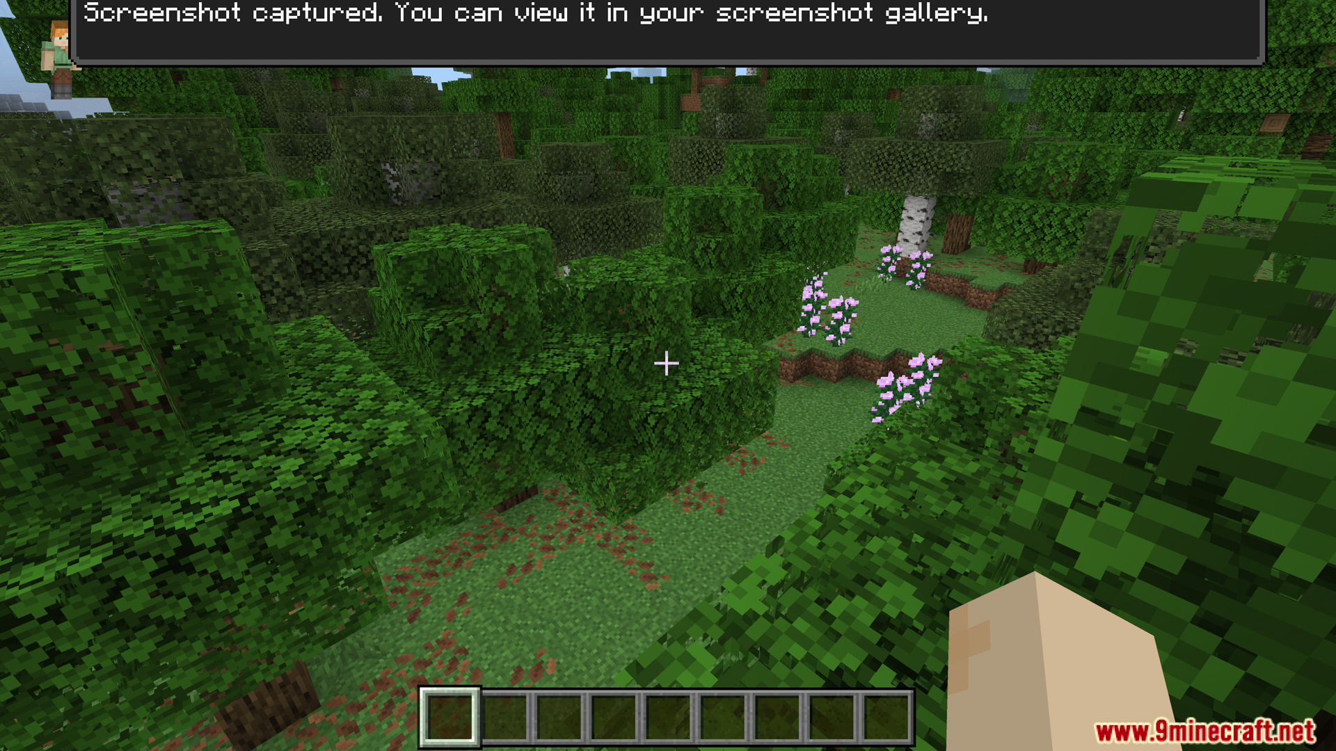 A player explores a lush green forest with extra storage