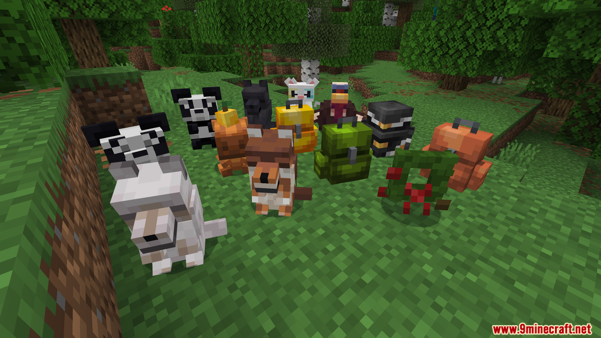 Tamed wolves wearing unique Christmas and animal themed backpack designs