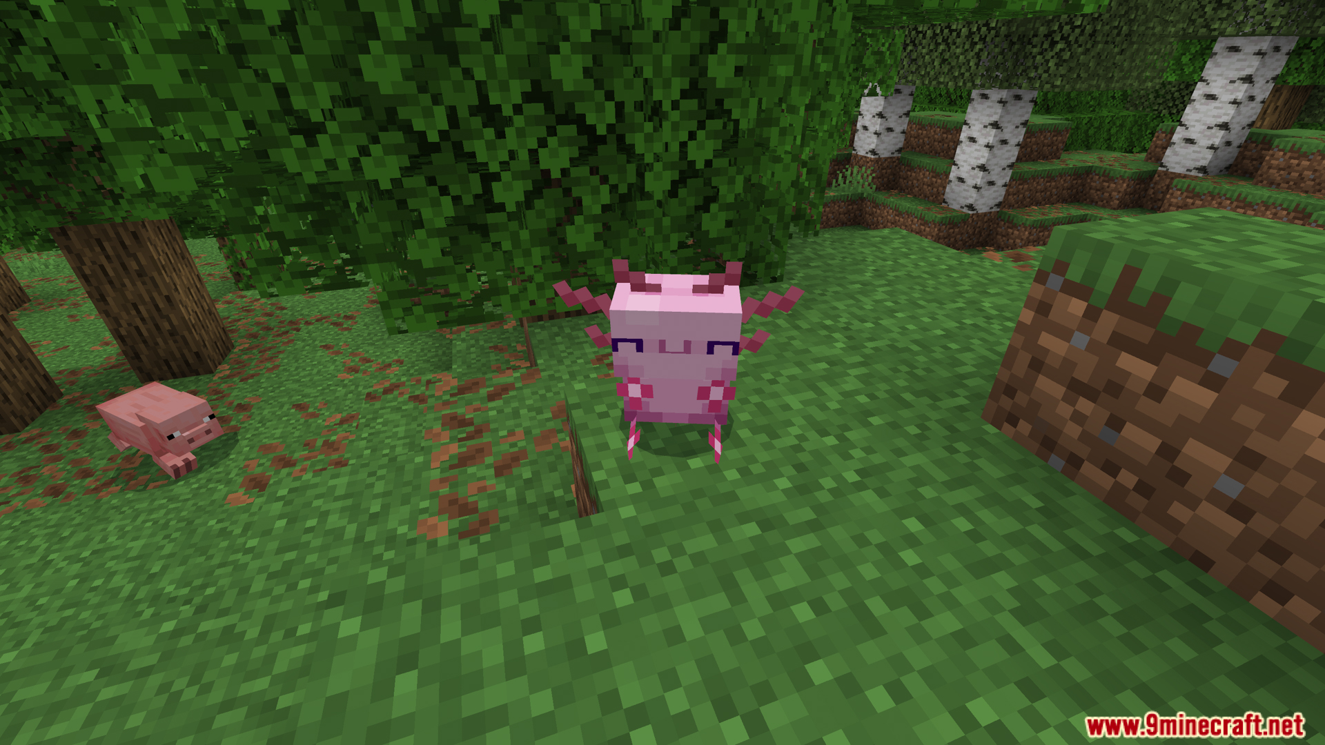 A unique pink axolotl themed backpack for storing extra items