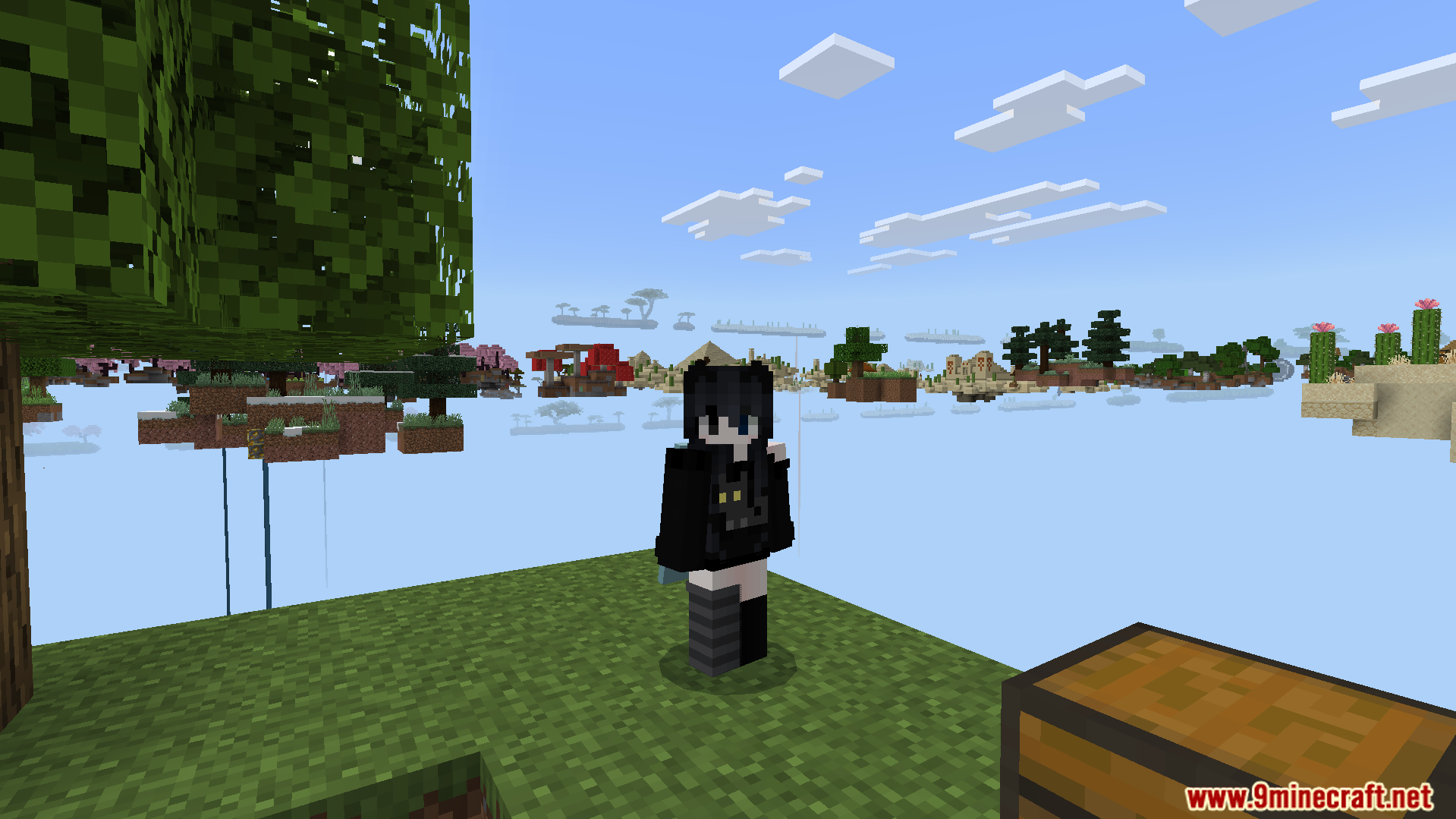 A player starts their survival adventure on a floating island