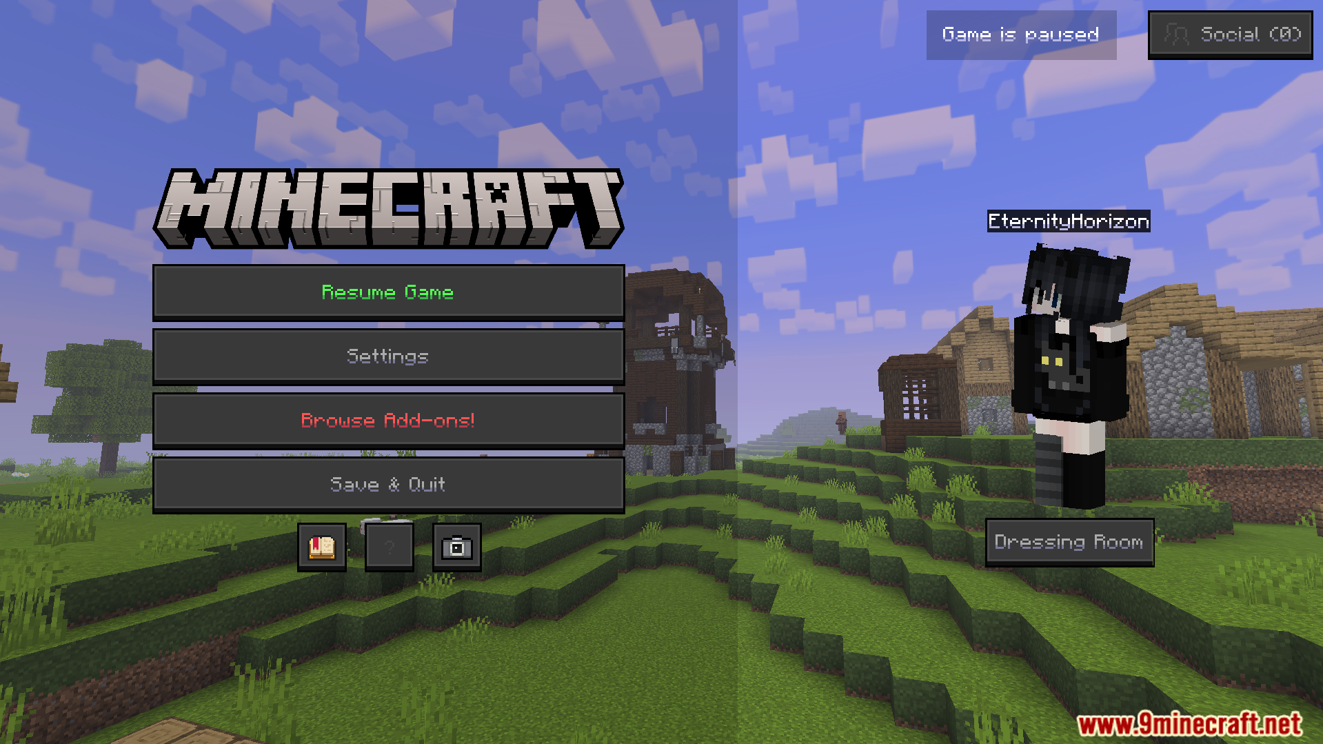 A player stands in a village with the game paused