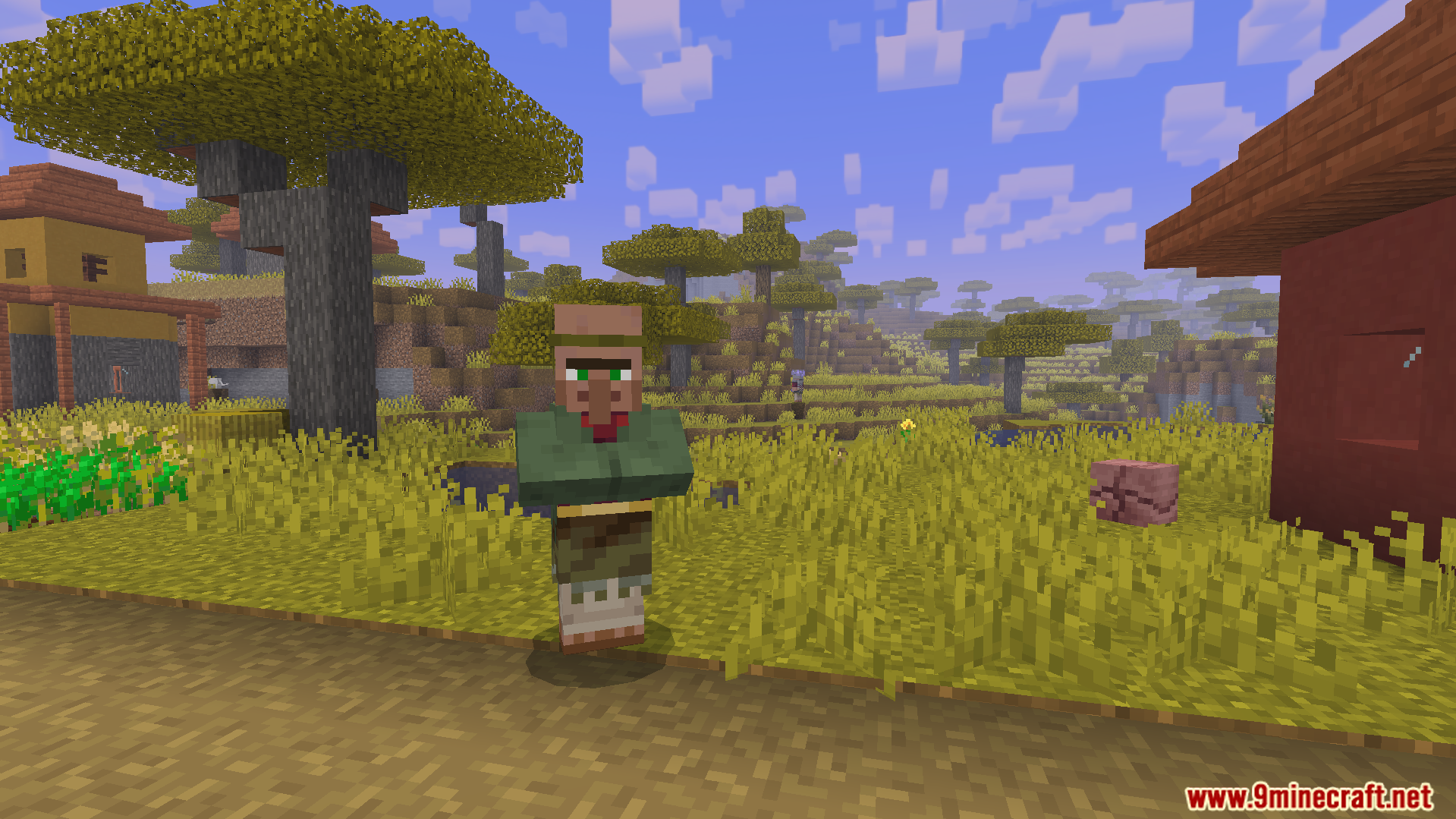 A villager wearing a green shirt stands in a savanna village