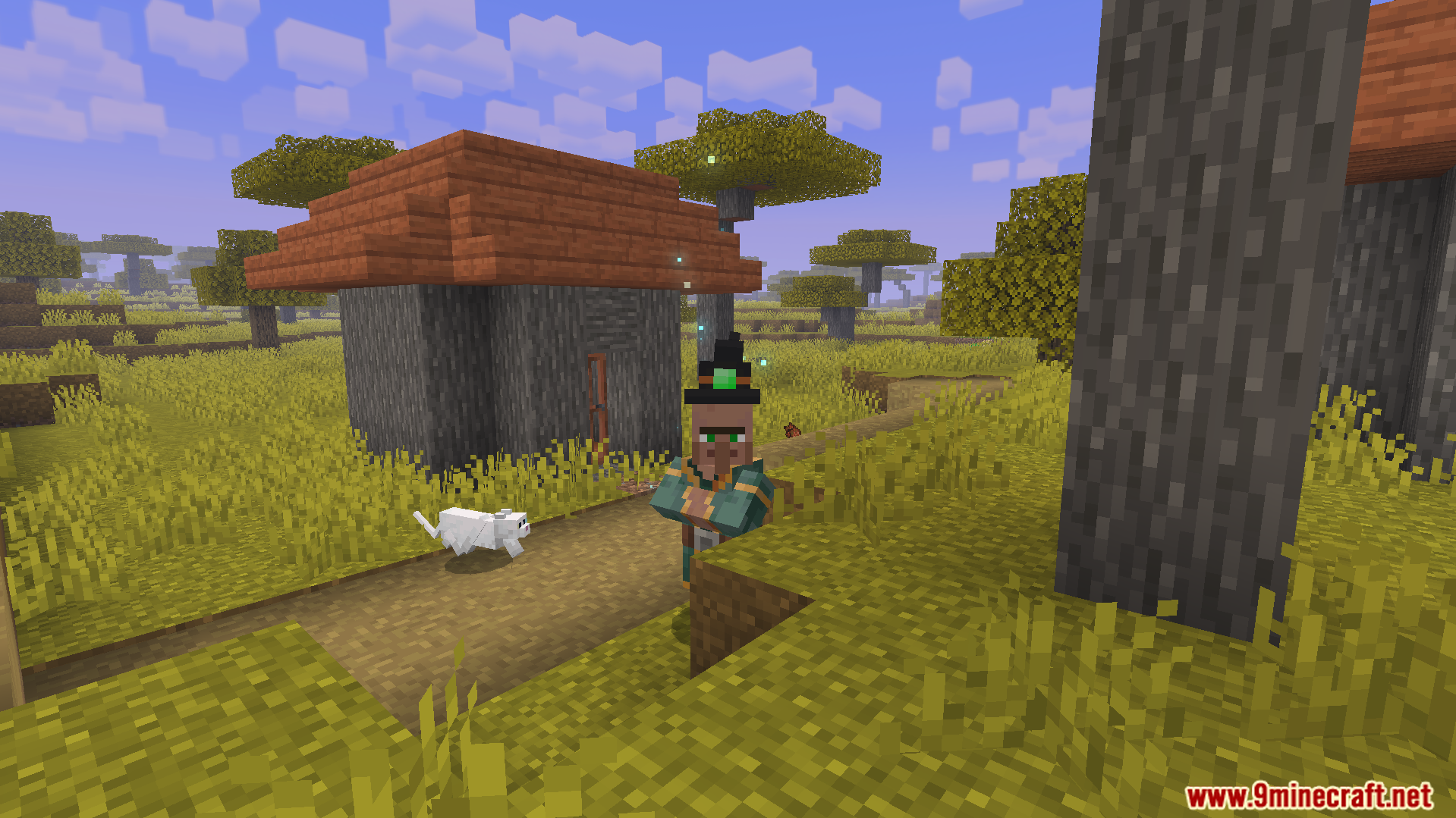 Villager with witch hat standing on a dirt path next to a white cat