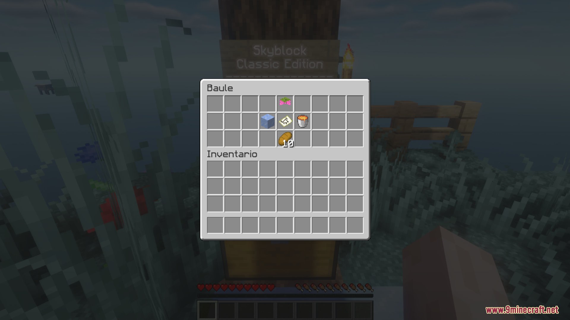 Voidblock Skyblock Map Screenshot 7