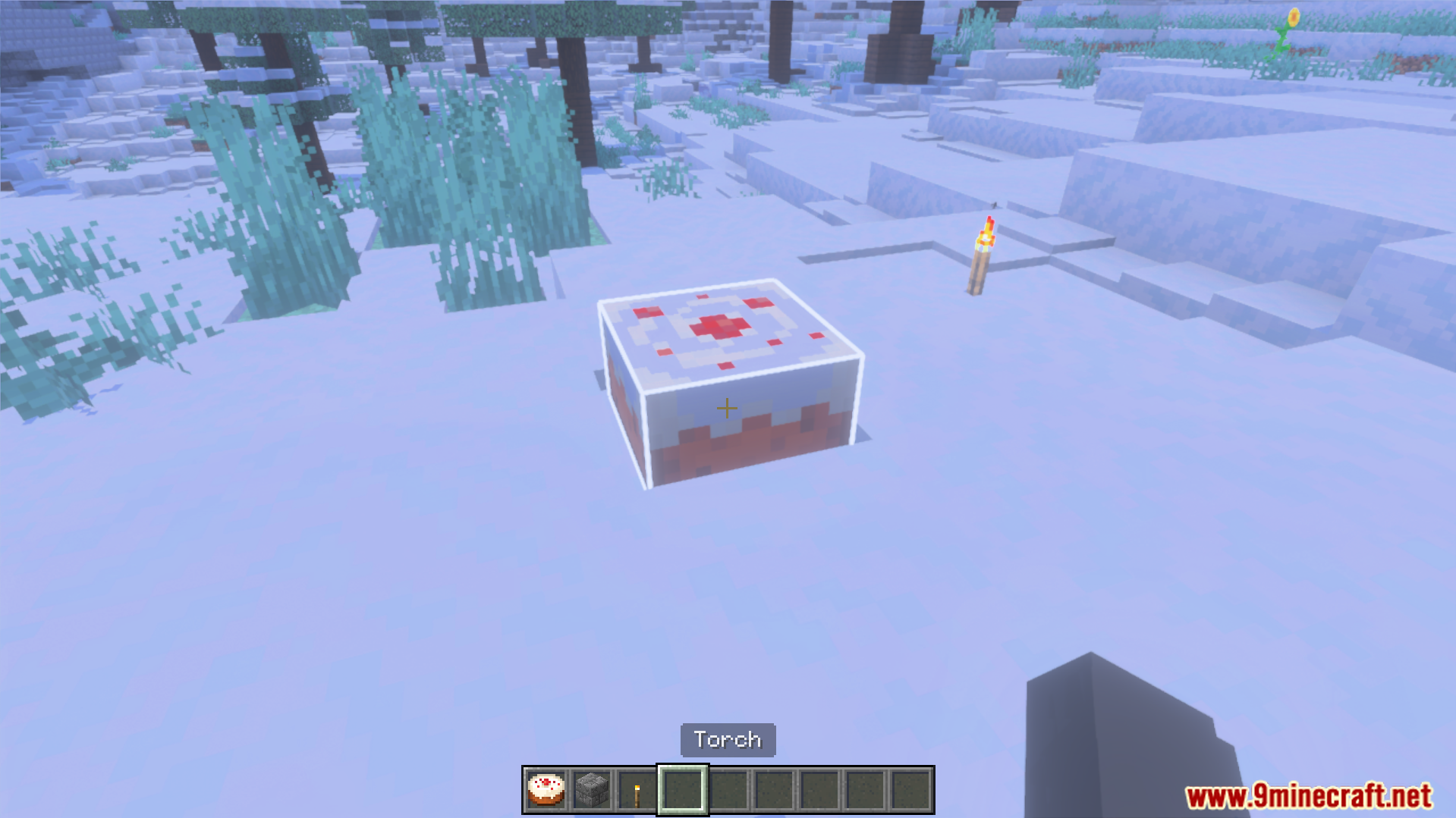 See your selected blocks easier with a bright white outline