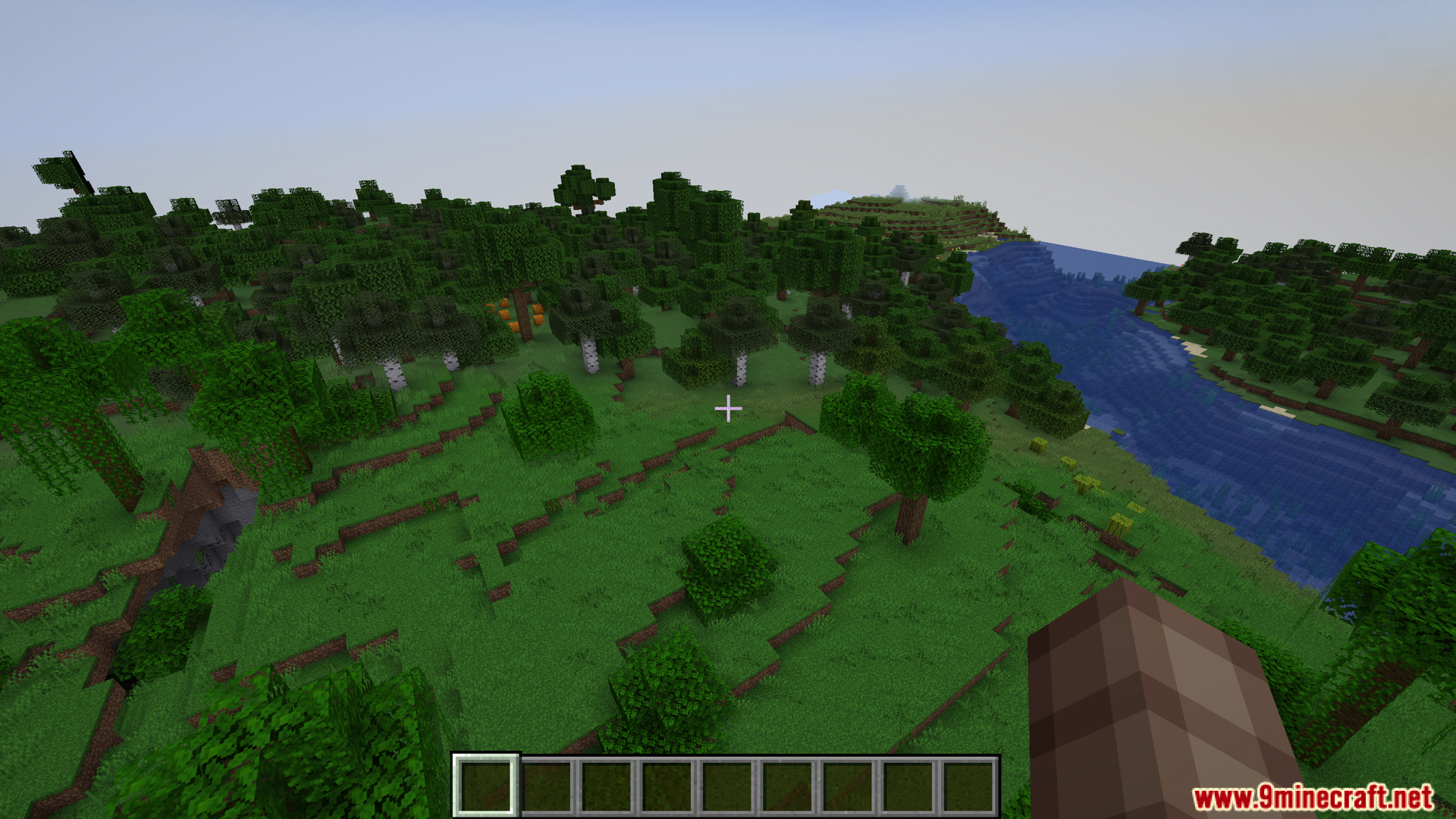 A lush green forest landscape in Minecraft