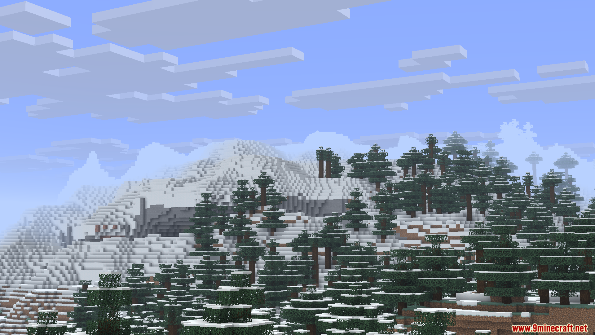 Snow covered mountain peak rising above a dense taiga forest with spruce trees