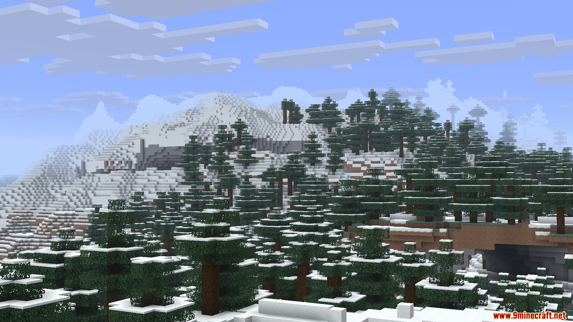 A snowy mountain biome with many spruce trees under a blue sky