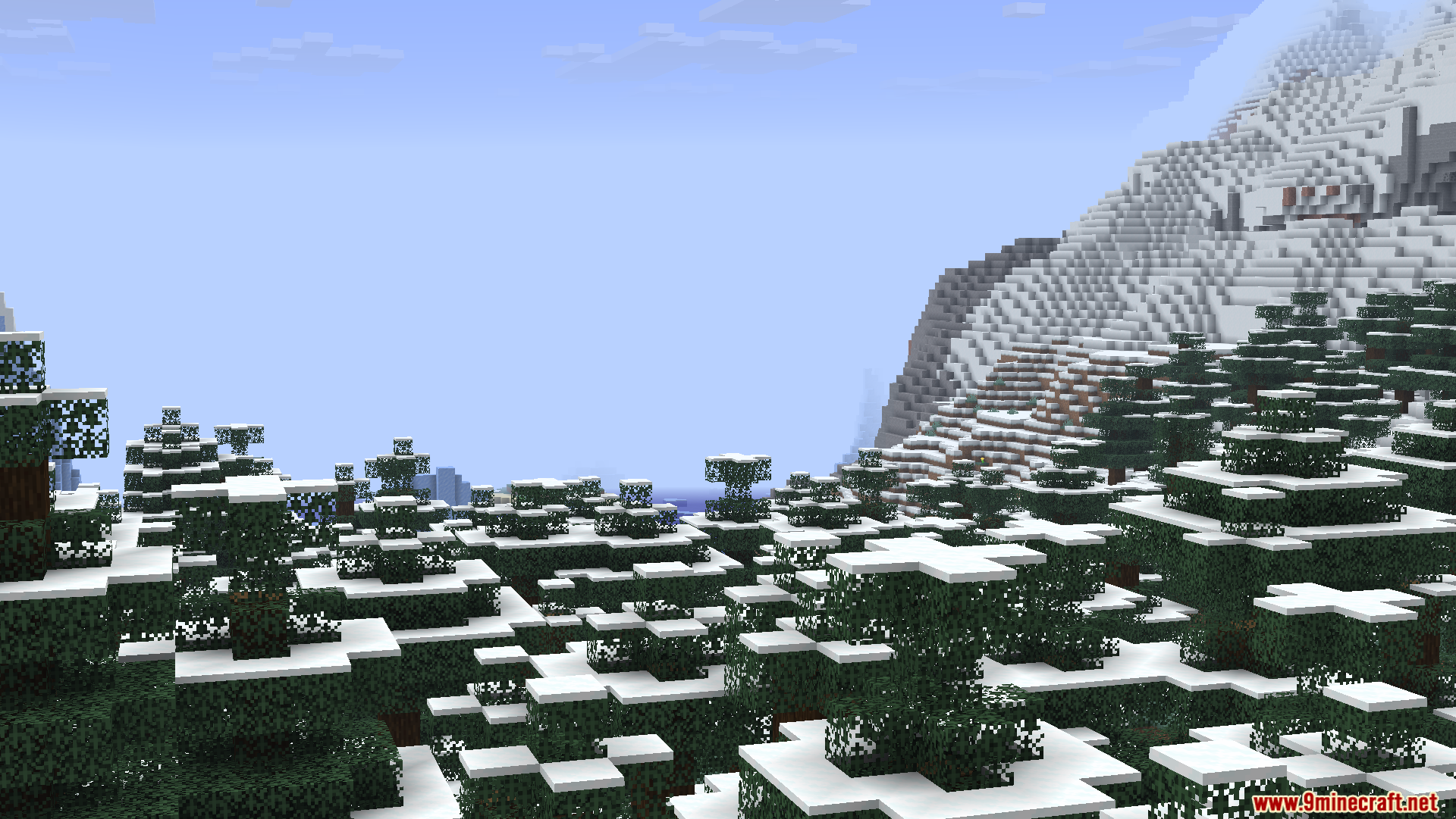 Zoomed view of a snowy mountain and pine trees in winter landscape