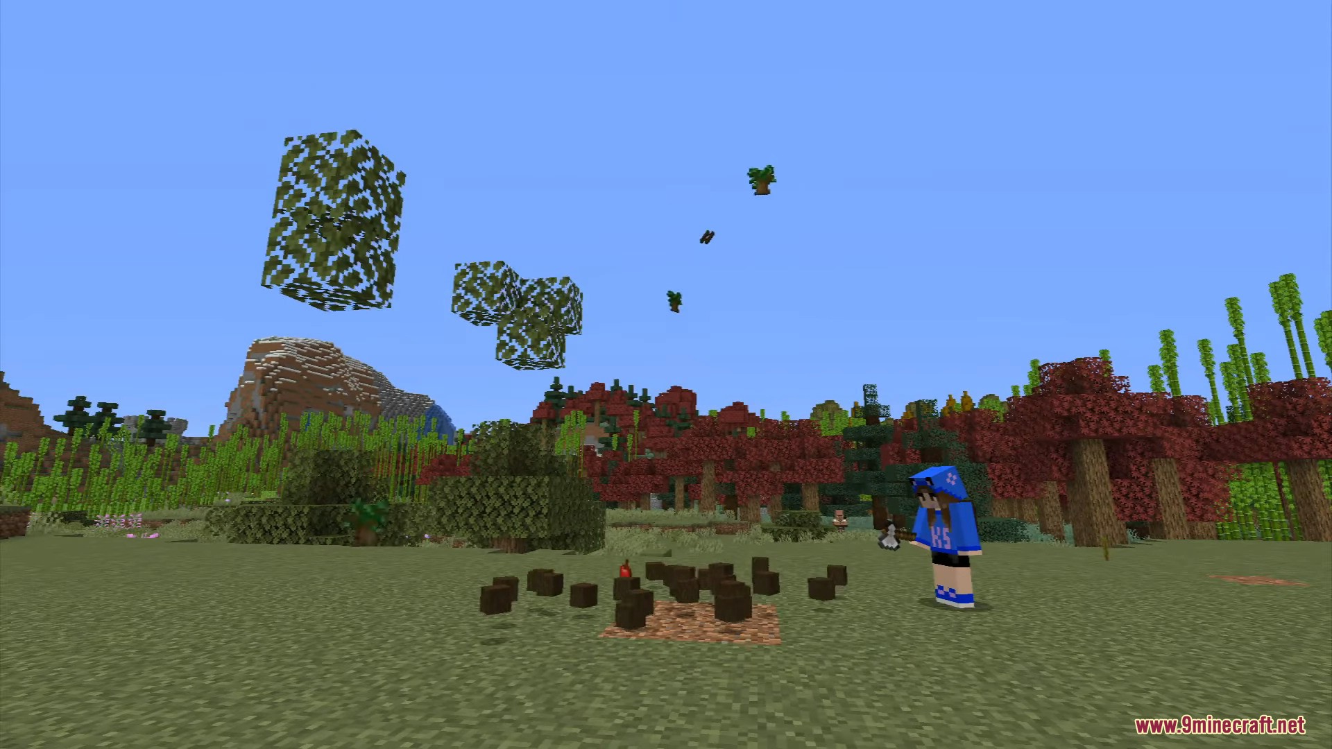 Gathering wood without waiting for slow leaf decay
