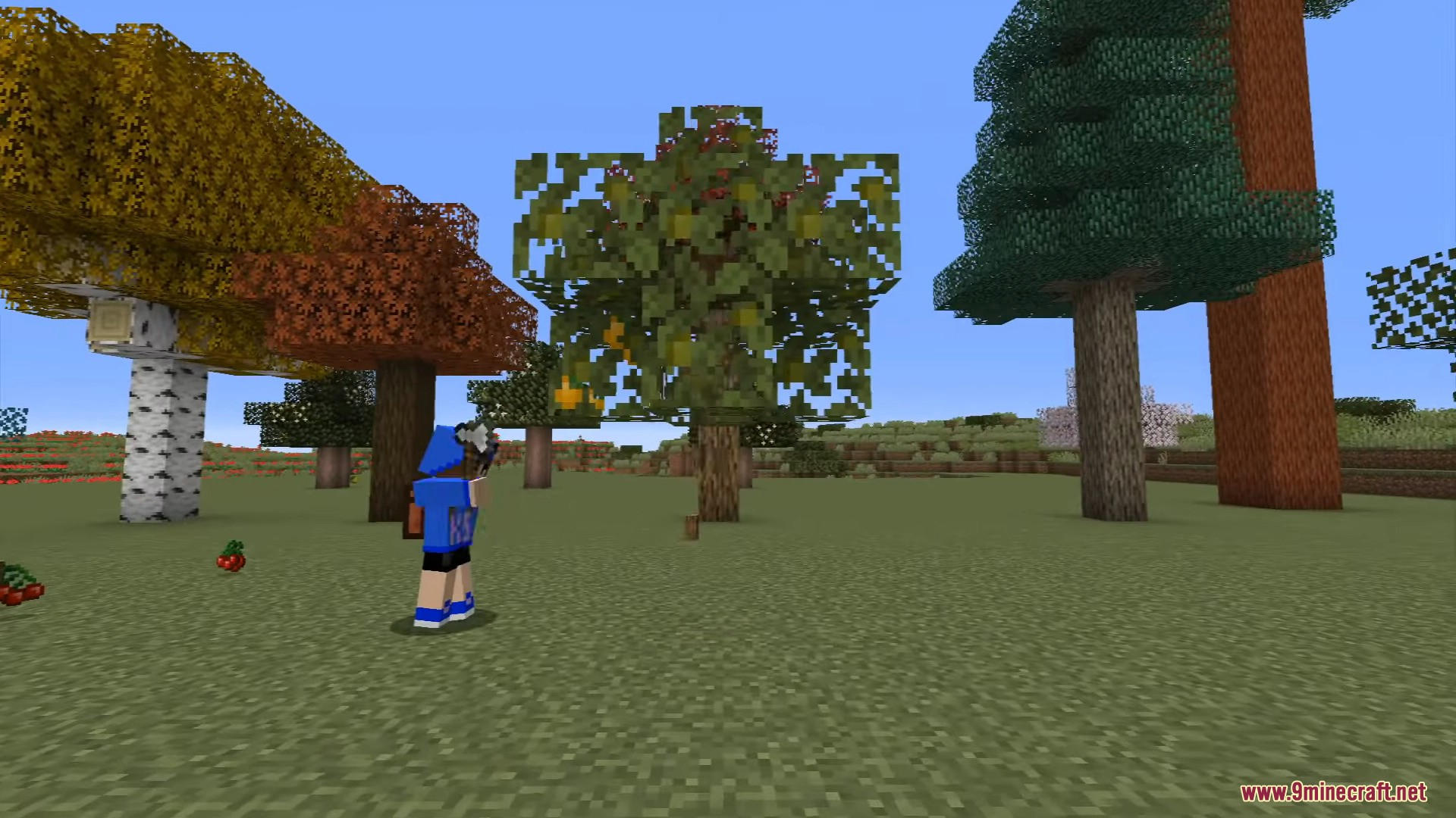 The canopy disappears moments after the last log breaks