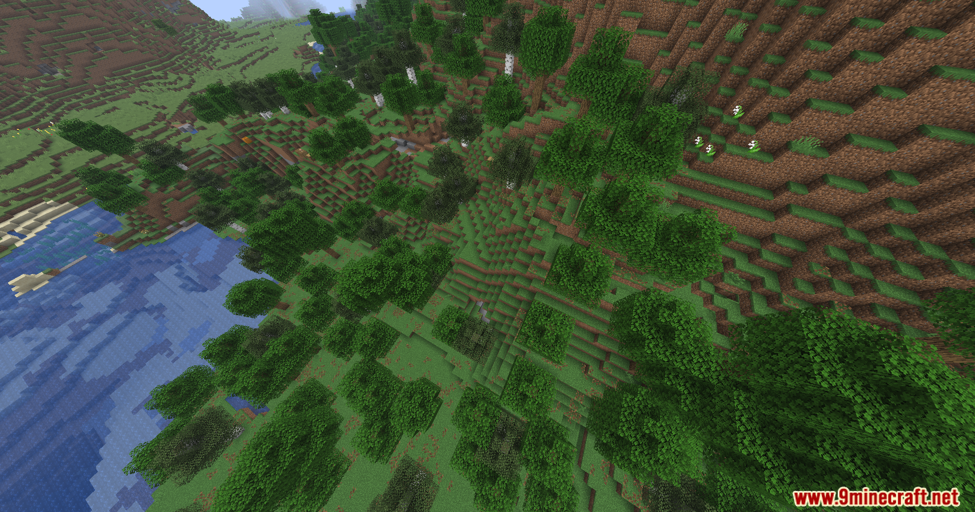 An aerial view of a dense forest on a hillside next to water