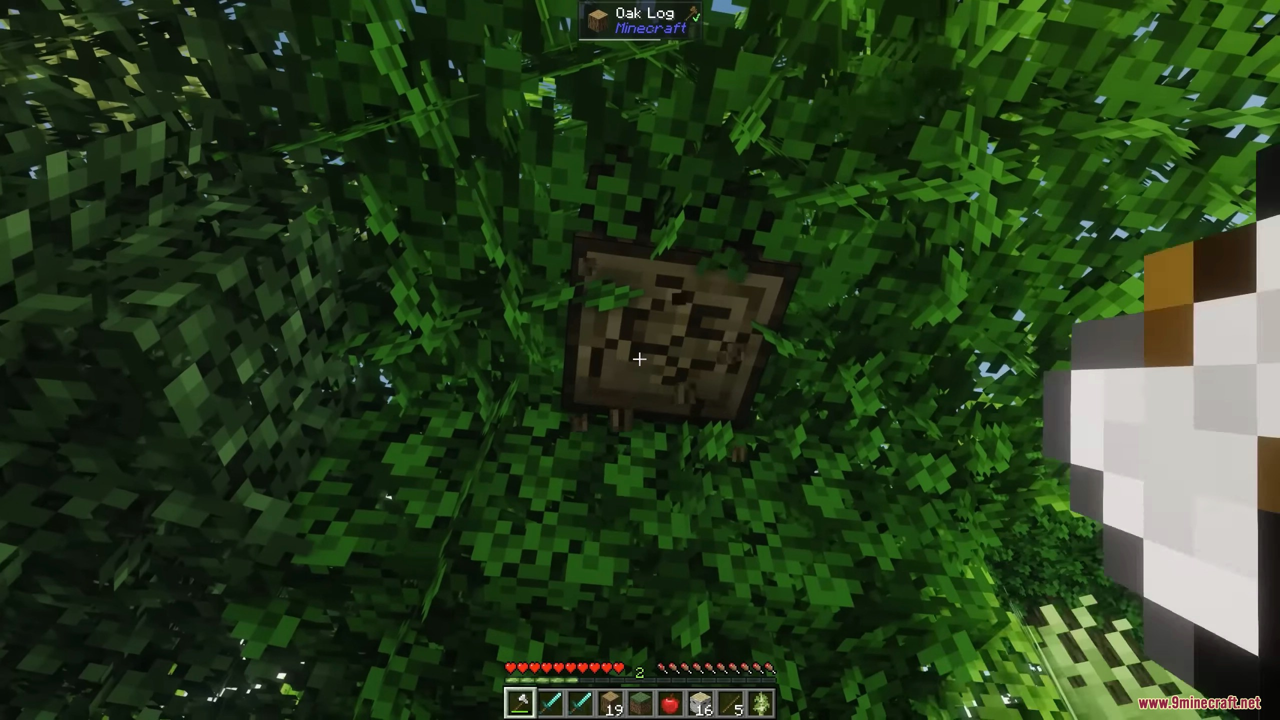 Working through a forest without leftover hanging leaves