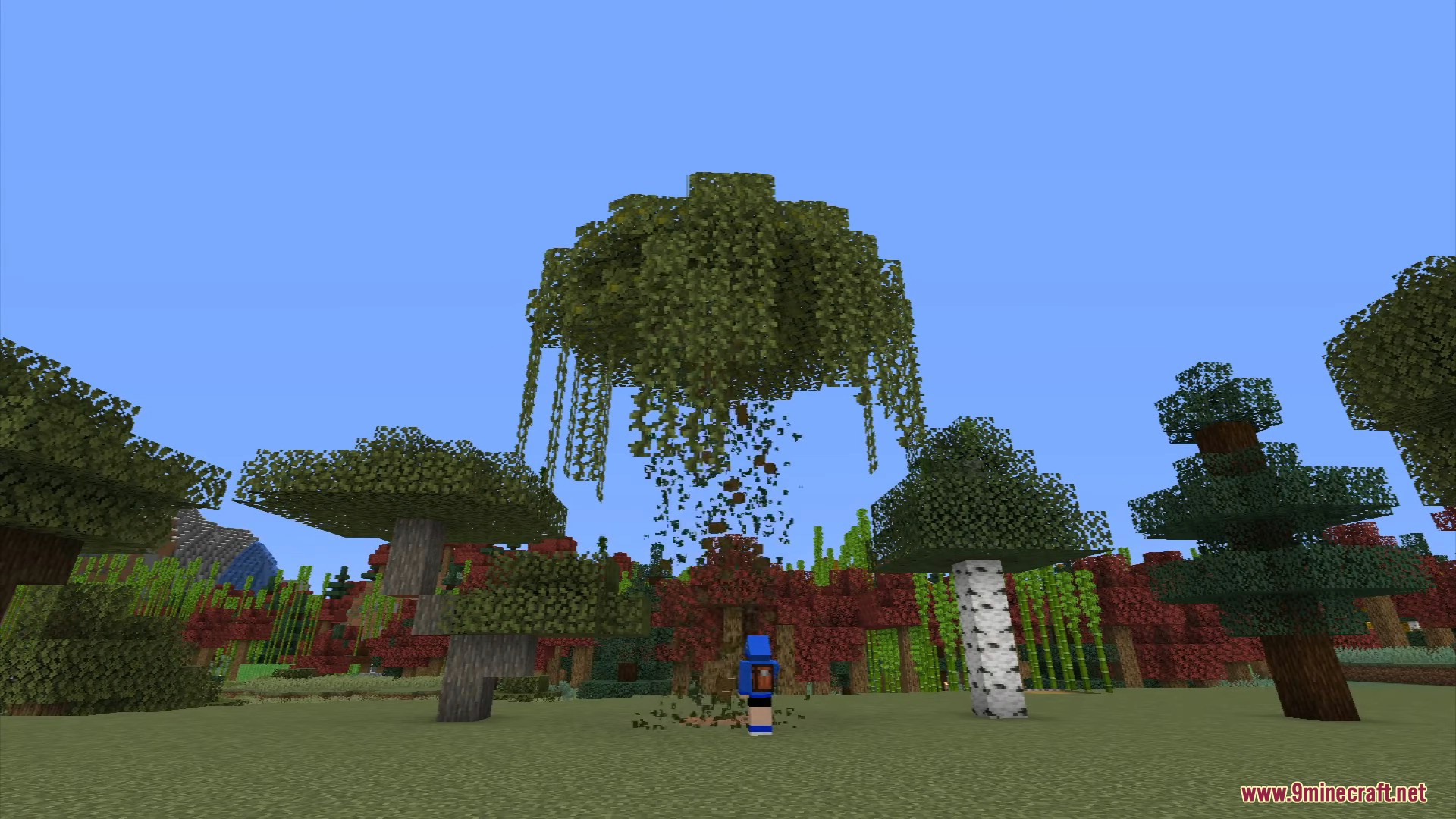 Leaves breaking down naturally right after the logs are gone