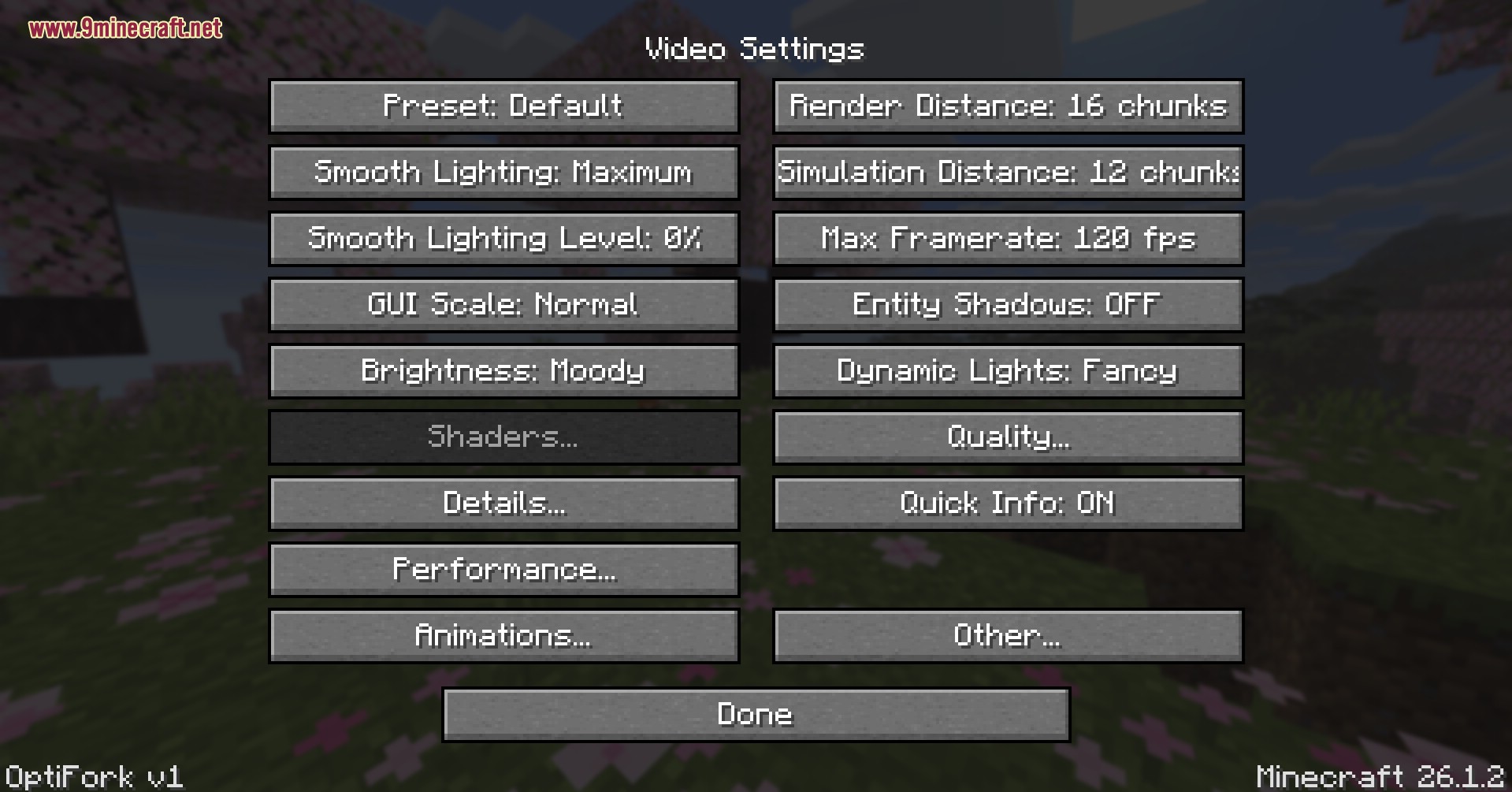 OptiFork Grafikeinstellungen-Menü mit Preset, Smooth Lighting, Shader, Dynamic Lights und anderen Optionen