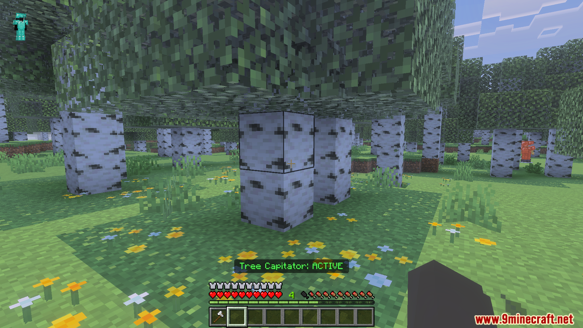 Sneaking in a birch forest to toggle the tree capitator feature on