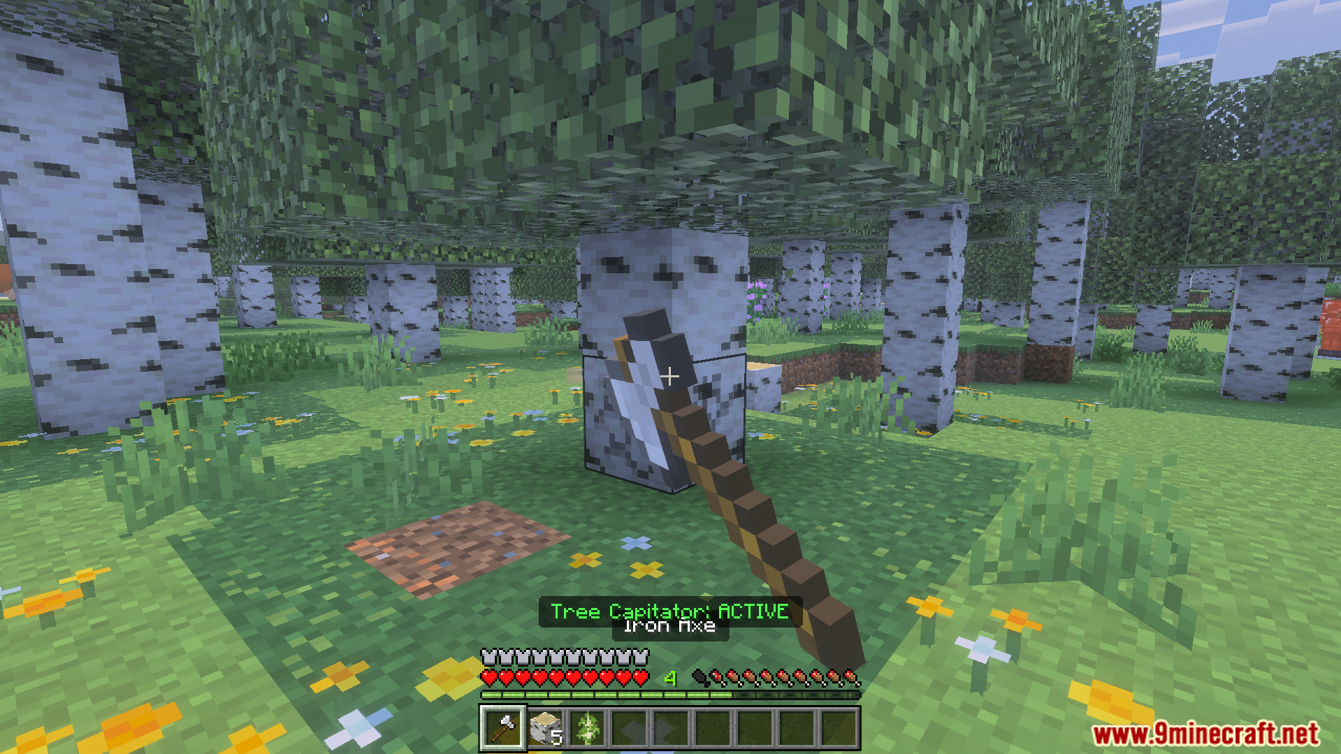 Player holding an iron axe with Actual Tree Capitator Addon active