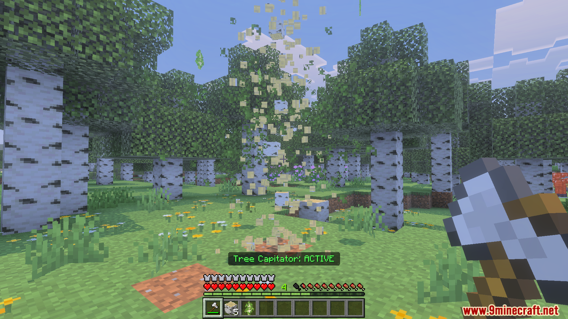 Entire birch tree breaking into items after chopping the bottom block
